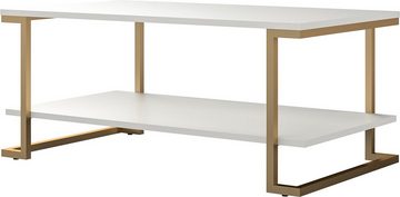 CosmoLiving by Cosmopolitan Couchtisch Camila (1-St), mit 1 Einlegeboden, pflegeleichtes MDF, Gestell aus Metall, Höhe 45 cm