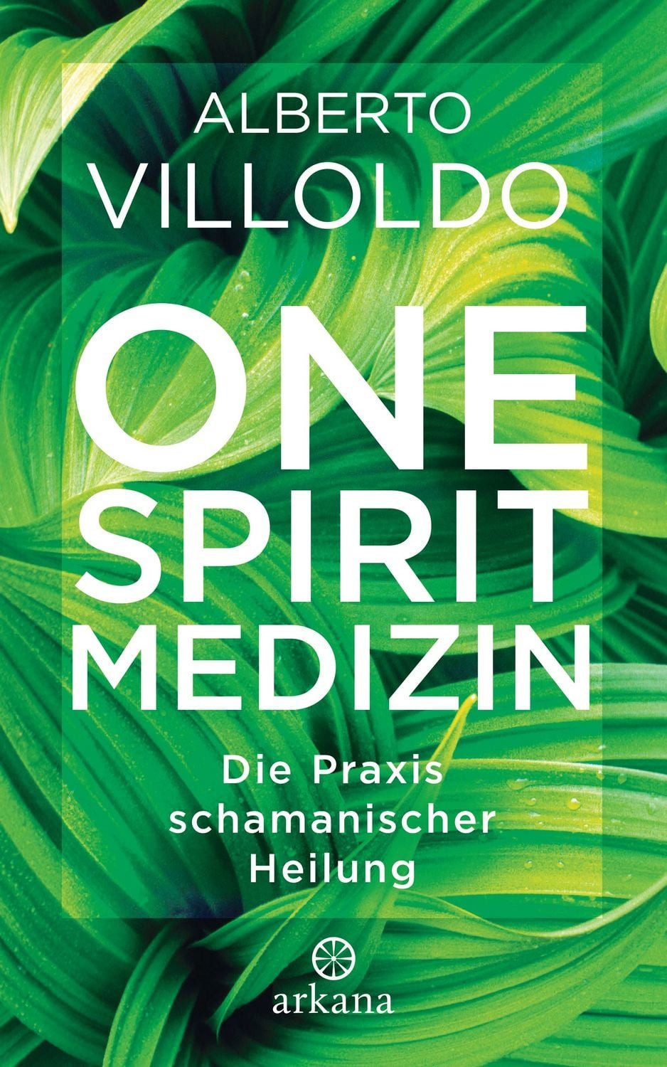 One Spirit Medizin / Alberto Villoldo