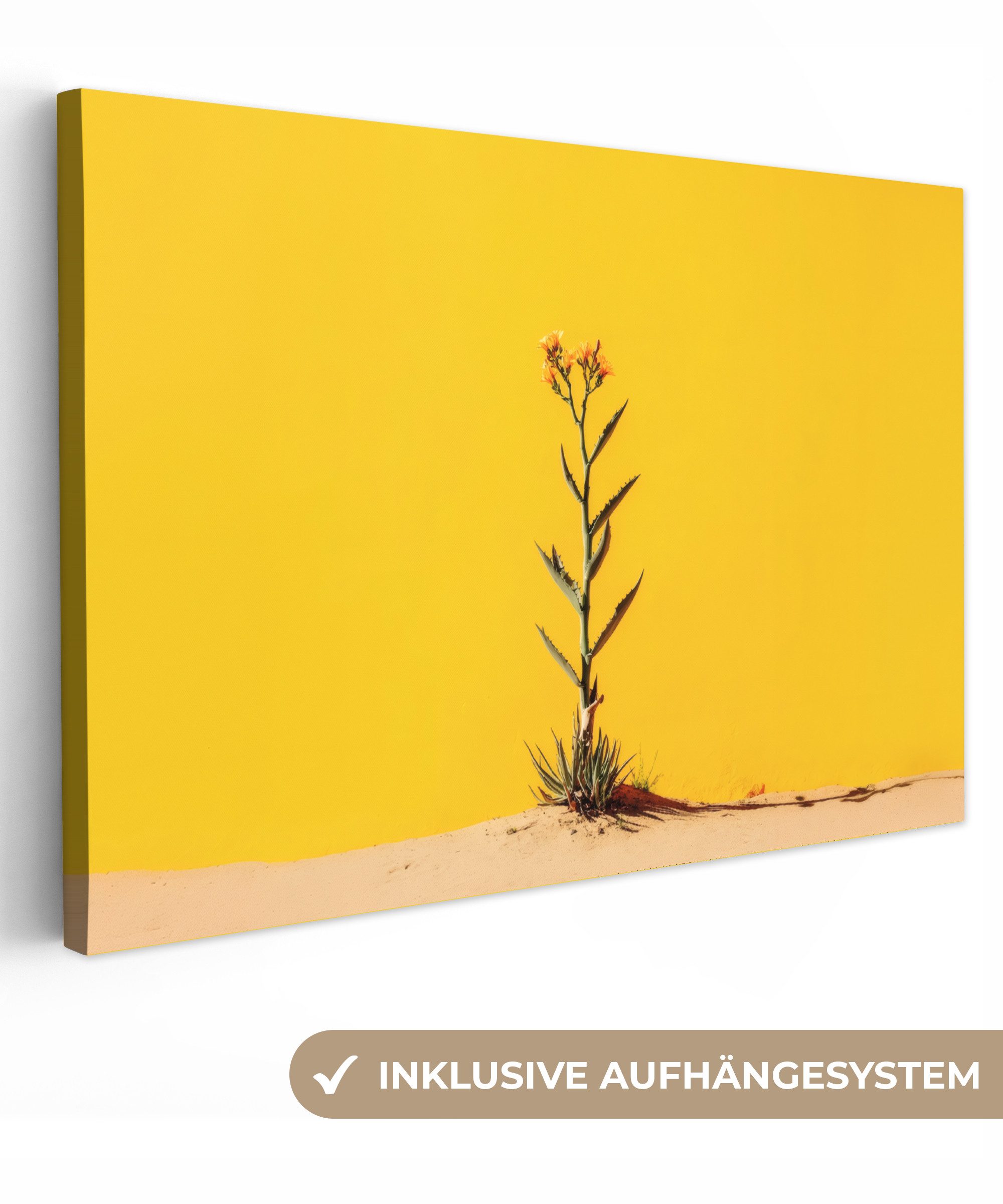 OneMillionCanvasses® Leinwandbild Sand - Pflanze - Gelb - Minimalistisch, F günstig online kaufen