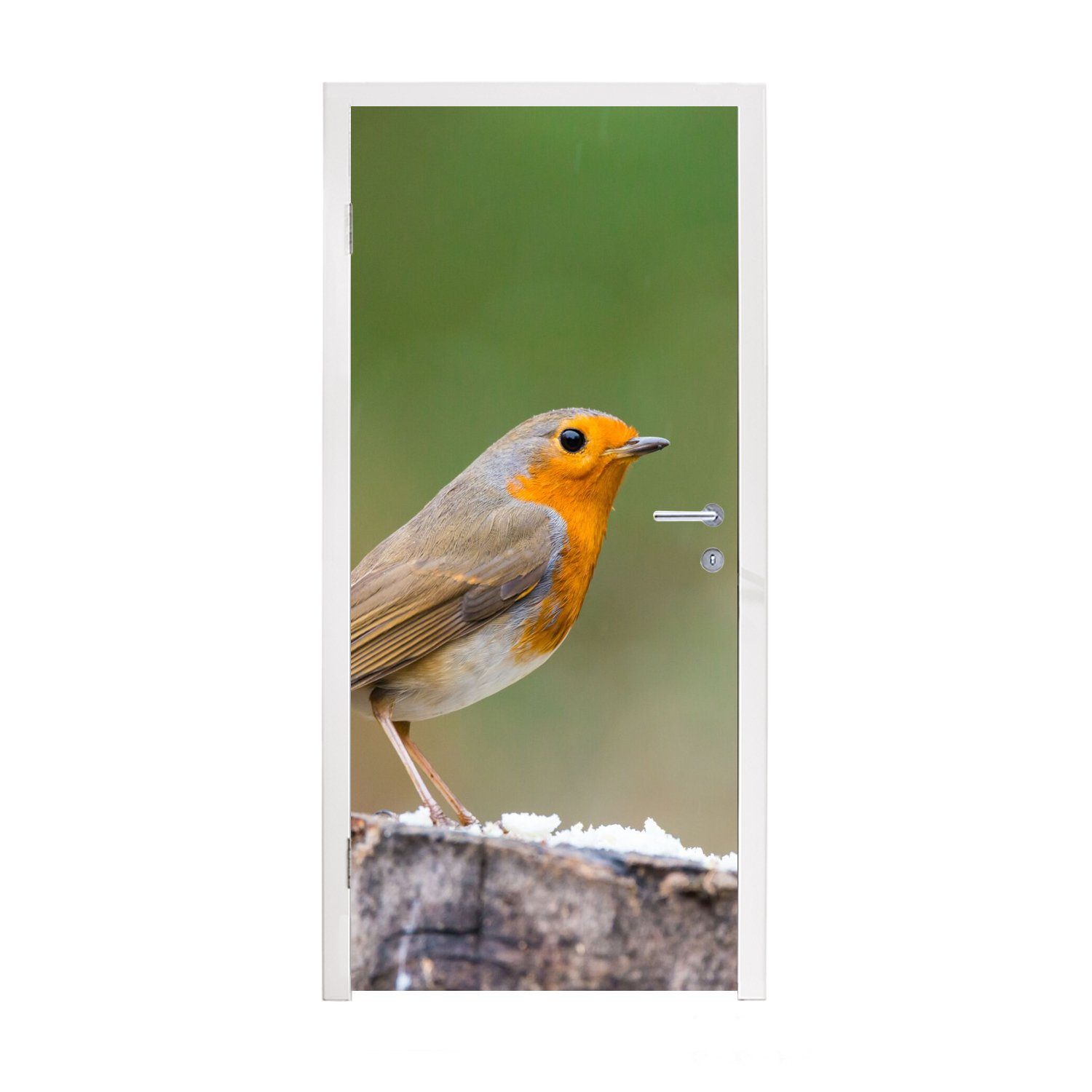 MuchoWow Türtapete Tiere - Vogel - Rotkehlchen, Matt, bedruckt, (1 St), Fototapete für Tür, Türaufkleber, 75x205 cm | Türtapeten
