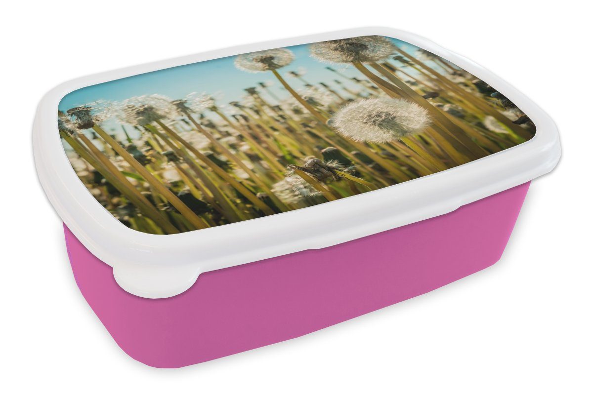 MuchoWow Mädchen, Lunchbox Löwenzahn - Brotbox Kunststoff Erwachsene, Kinder, Kunststoff, für Gras, (2-tlg), Snackbox, rosa - Brotdose Blumen