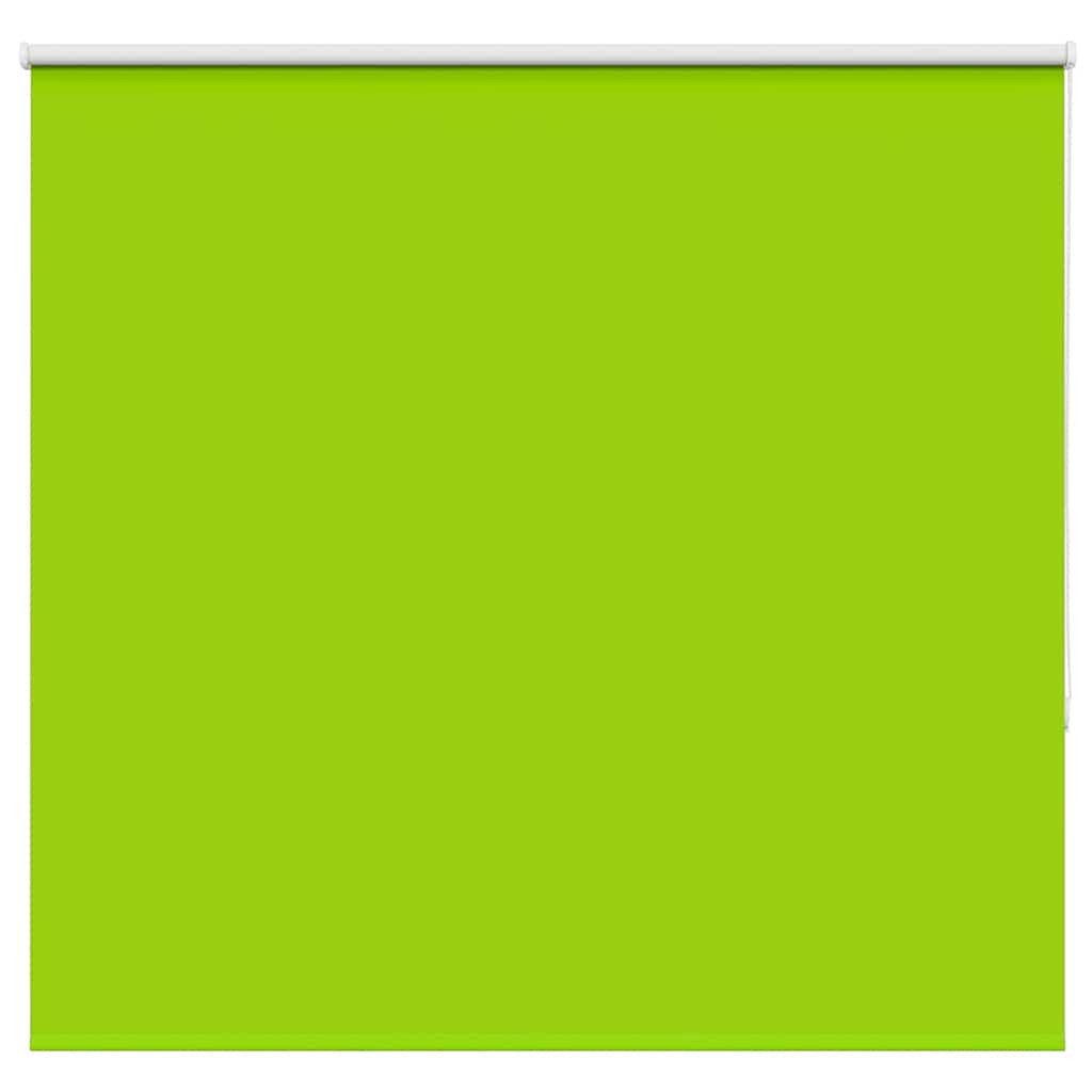 Rollo Verdunkelungsrollo Grün 160x150cm Stoffbreite 156,6cm Polyester, vidaXL