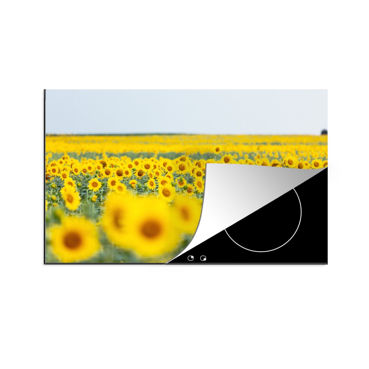 MuchoWow Herdblende-/Abdeckplatte Gelbes Feld voller Sonnenblumen, Vinyl, (1 tlg), 81x52 cm, Induktionskochfeld Schutz für die küche, Ceranfeldabdeckung