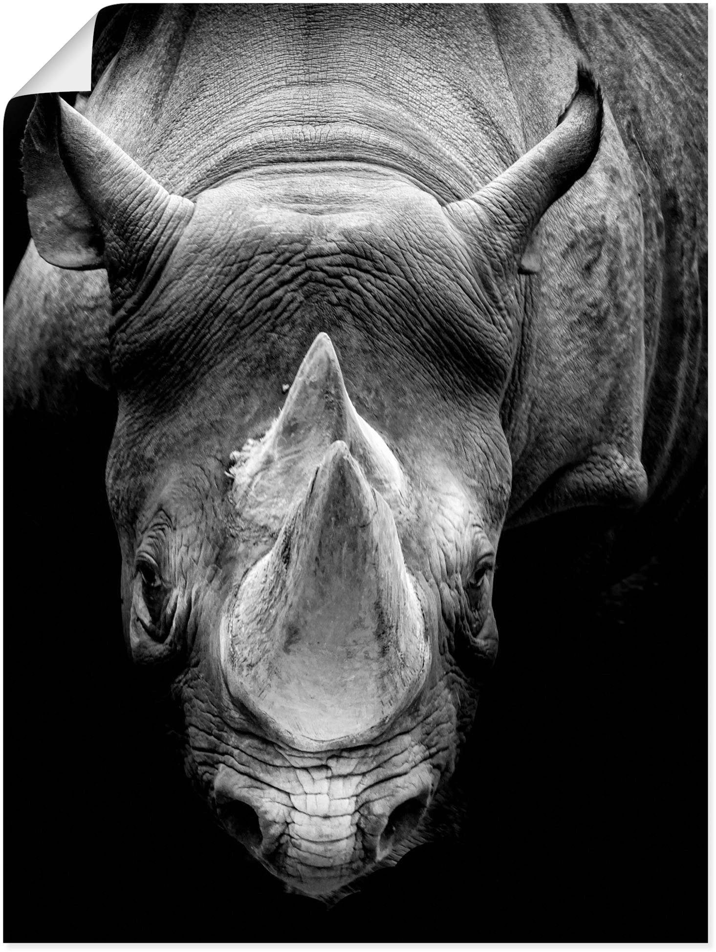 Nashorn, versch. Leinwandbild, St), Poster Größen oder Wandbild Alubild, Wildtiere Das Artland (1 Wandaufkleber als in