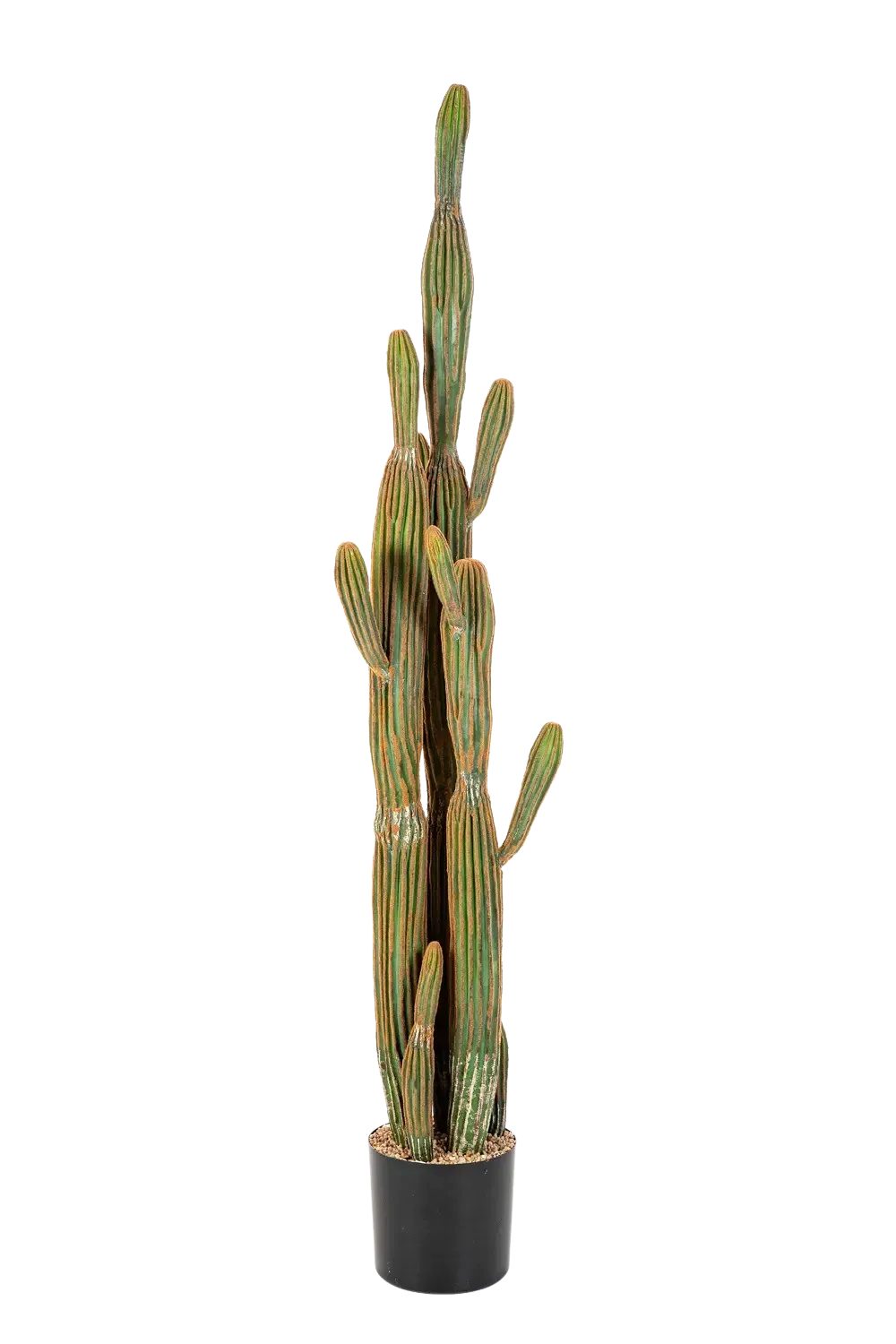 Kunstbaum Künstlicher Kaktus - Heinz, 150 cm, Real Touch, aplanta