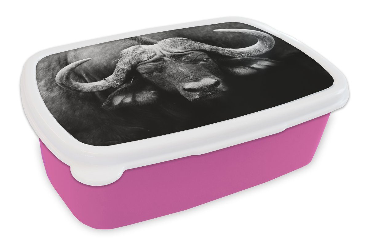 - Kinder, Lunchbox - Snackbox, Weiß - Kunststoff Porträt, Büffel Kunststoff, - Tiere (2-tlg), rosa MuchoWow für Erwachsene, Mädchen, Brotbox Schwarz Brotdose