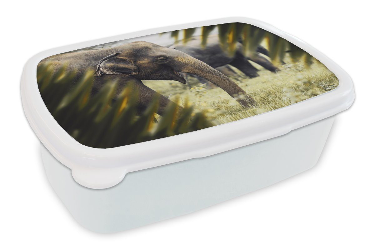 Kinder MuchoWow - - Brotdose, Erwachsene, und (2-tlg), Natur Kunststoff, für für und Jungs Blätter, Lunchbox Brotbox Mädchen Elefant weiß