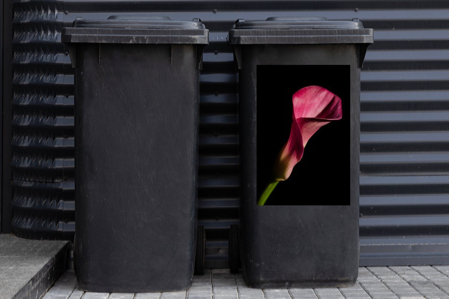Container, (1 Abfalbehälter Wandsticker St), Dunkelrosa Mülltonne, Mülleimer-aufkleber, MuchoWow Sticker, vor Calla schwarzem Hintergrund