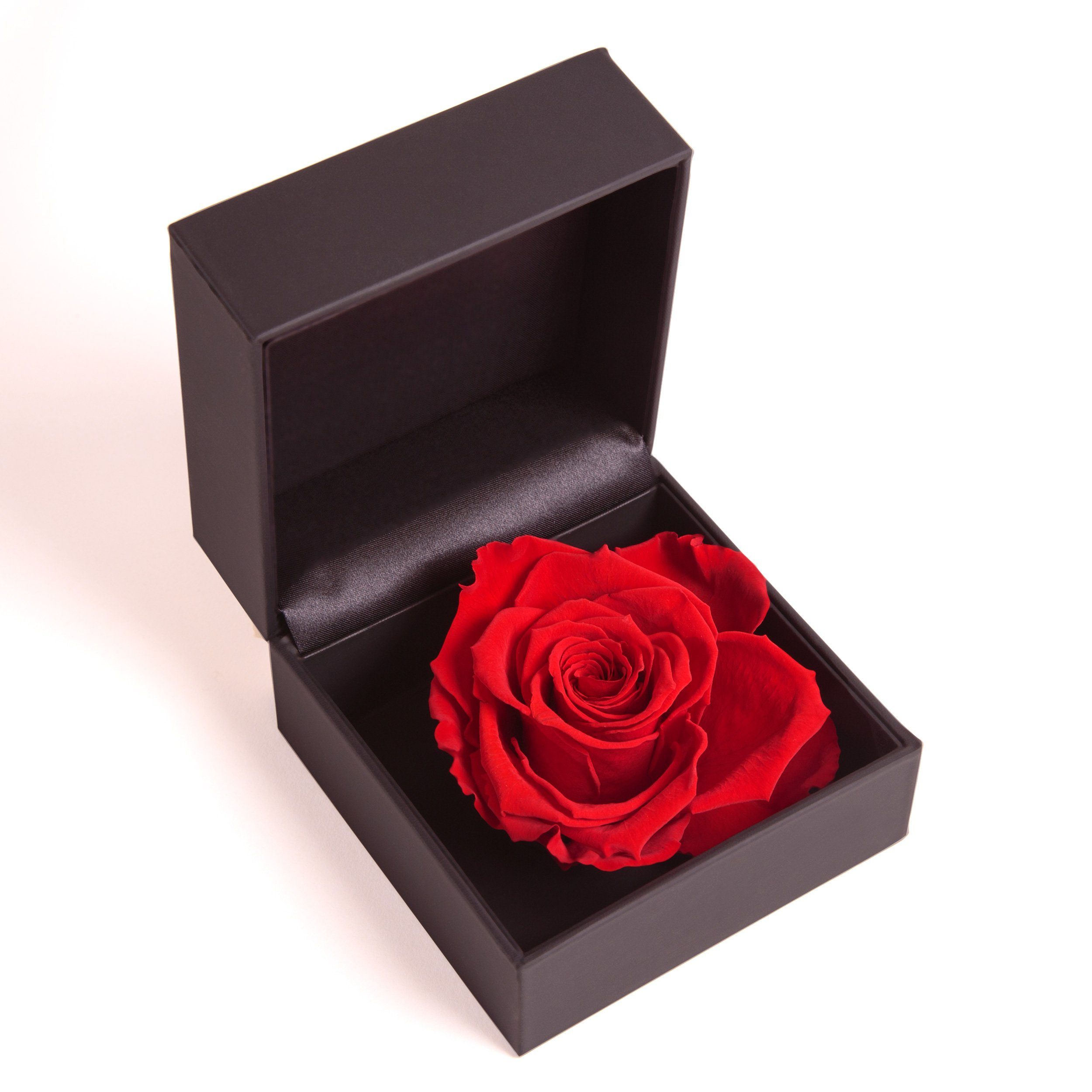 in Infinity Höhe Rose cm, Rot Ringdose ROSEMARIE Rose, 9 konserviert Langlebige Rosenbox Heidelberg, SCHULZ Box Rose Ringbox Groß Kunstblume