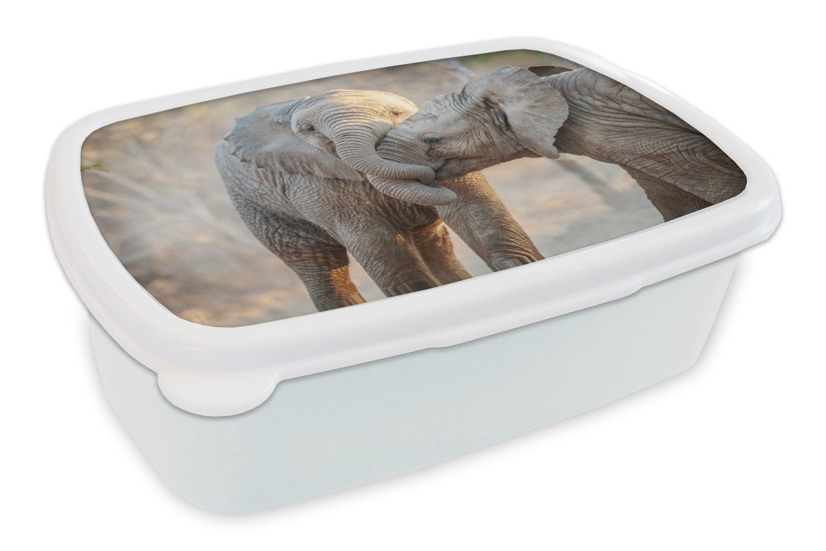 MuchoWow Lunchbox Elefanten - Kuscheltier - Afrika, Kunststoff, (2-tlg), Brotbox für Kinder und Erwachsene, Brotdose, für Jungs und Mädchen weiß