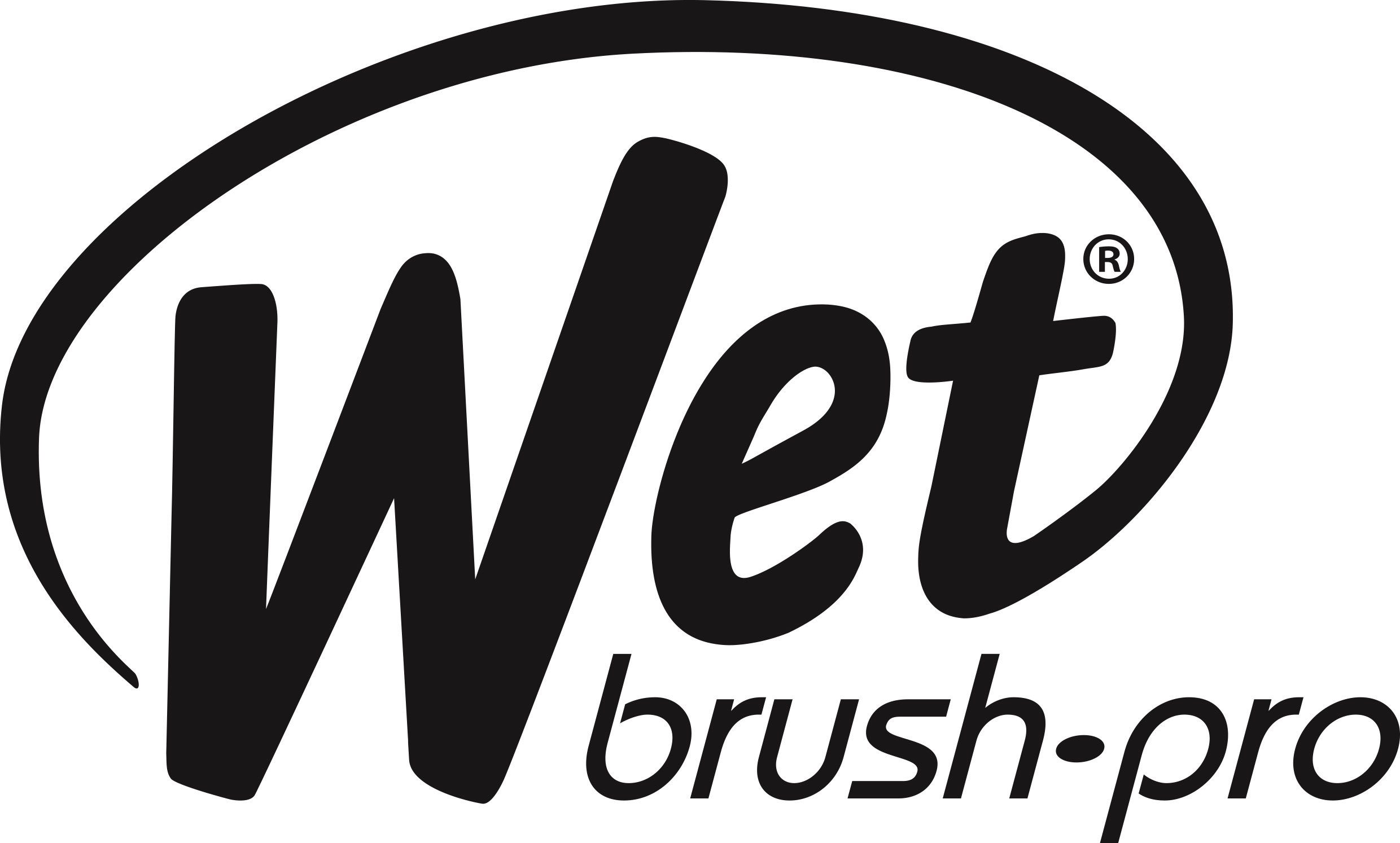 Wet Brush Pro