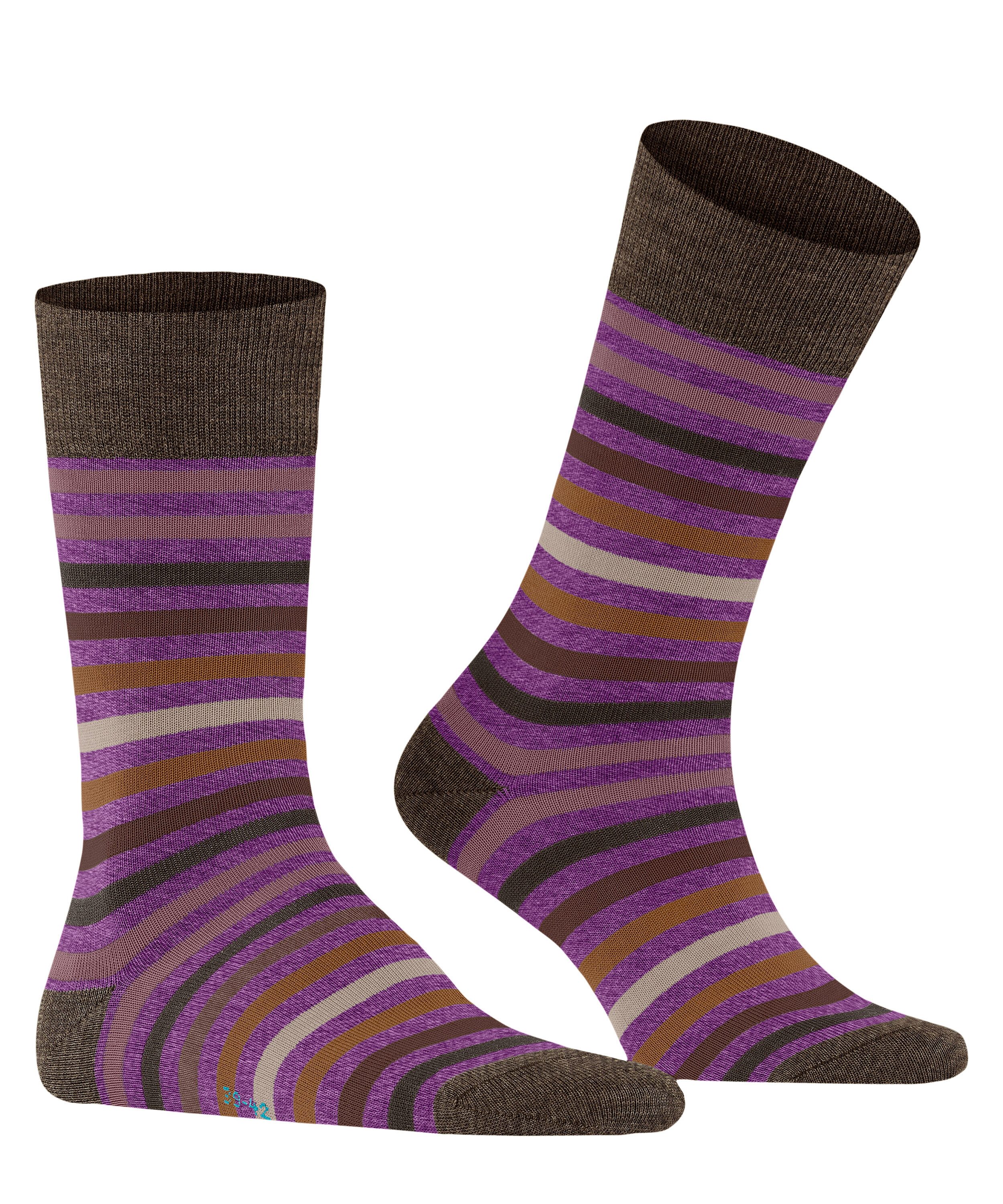 FALKE Socken Tinted Stripe (1-Paar) mit günstig online kaufen