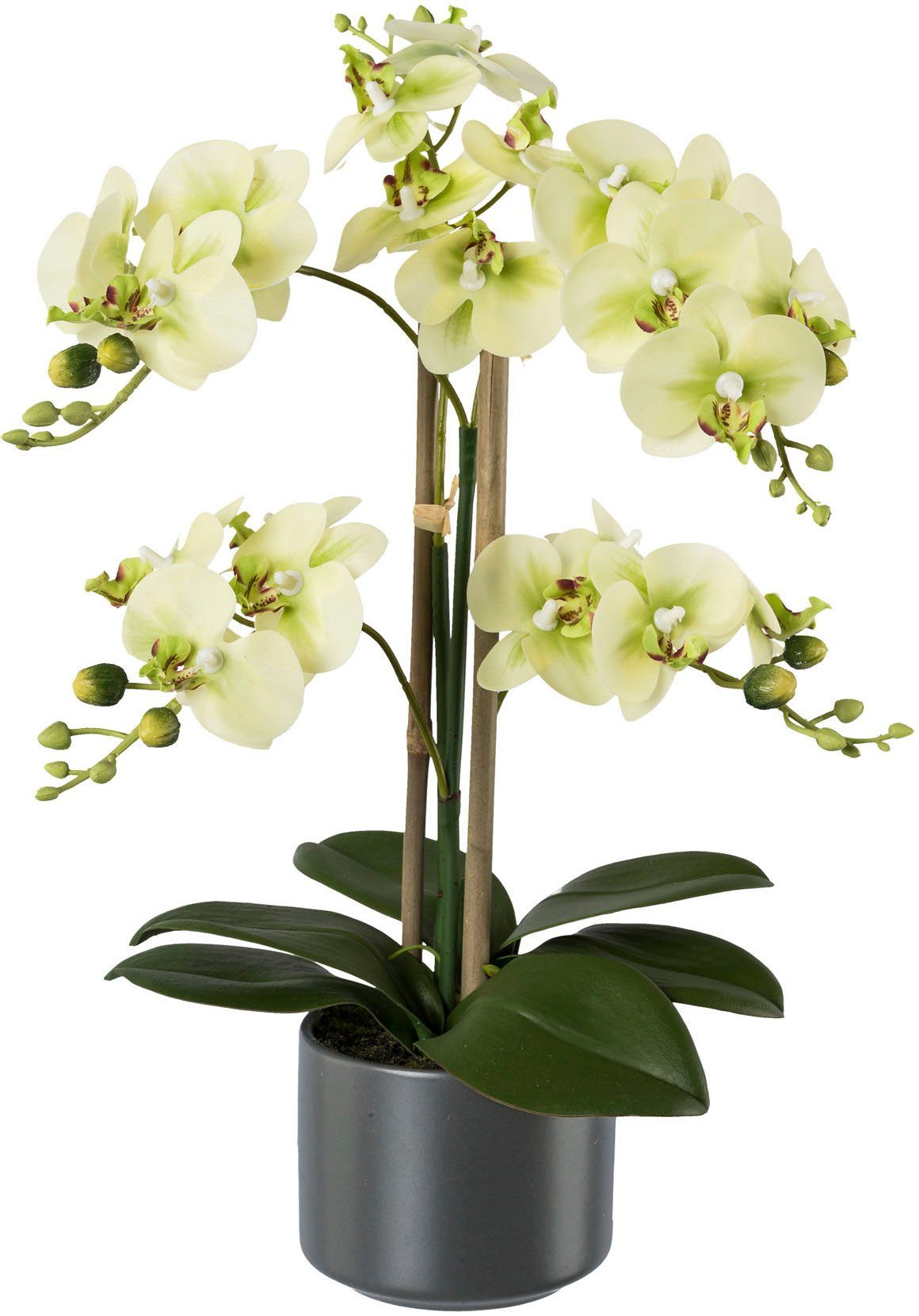 Kunstpflanze »Orchidee«, Creativ green, Höhe 38 cm-Otto