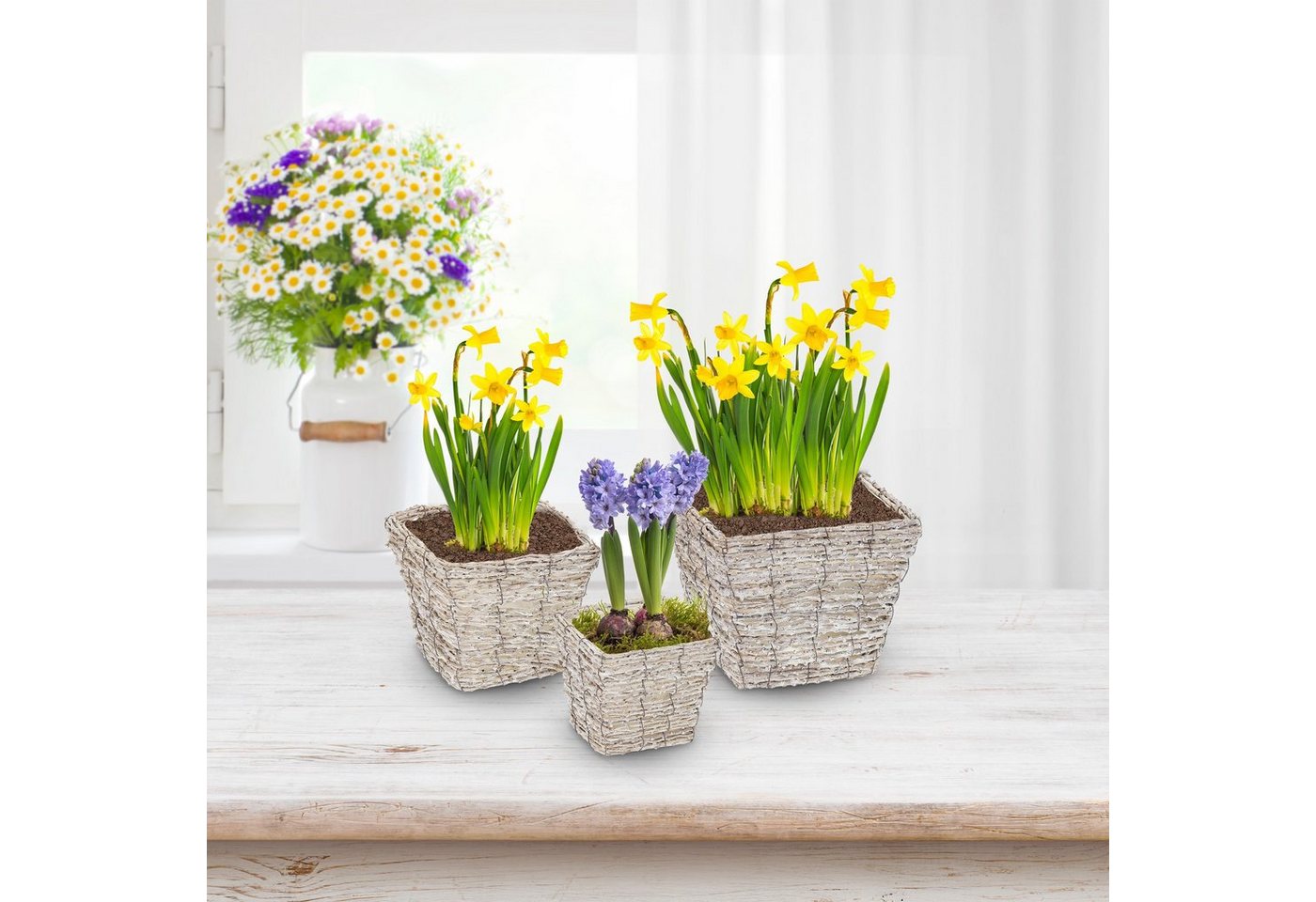 Thumbnail - relaxdays Blumentopf Quadratischer Blumentopf im 3er Set