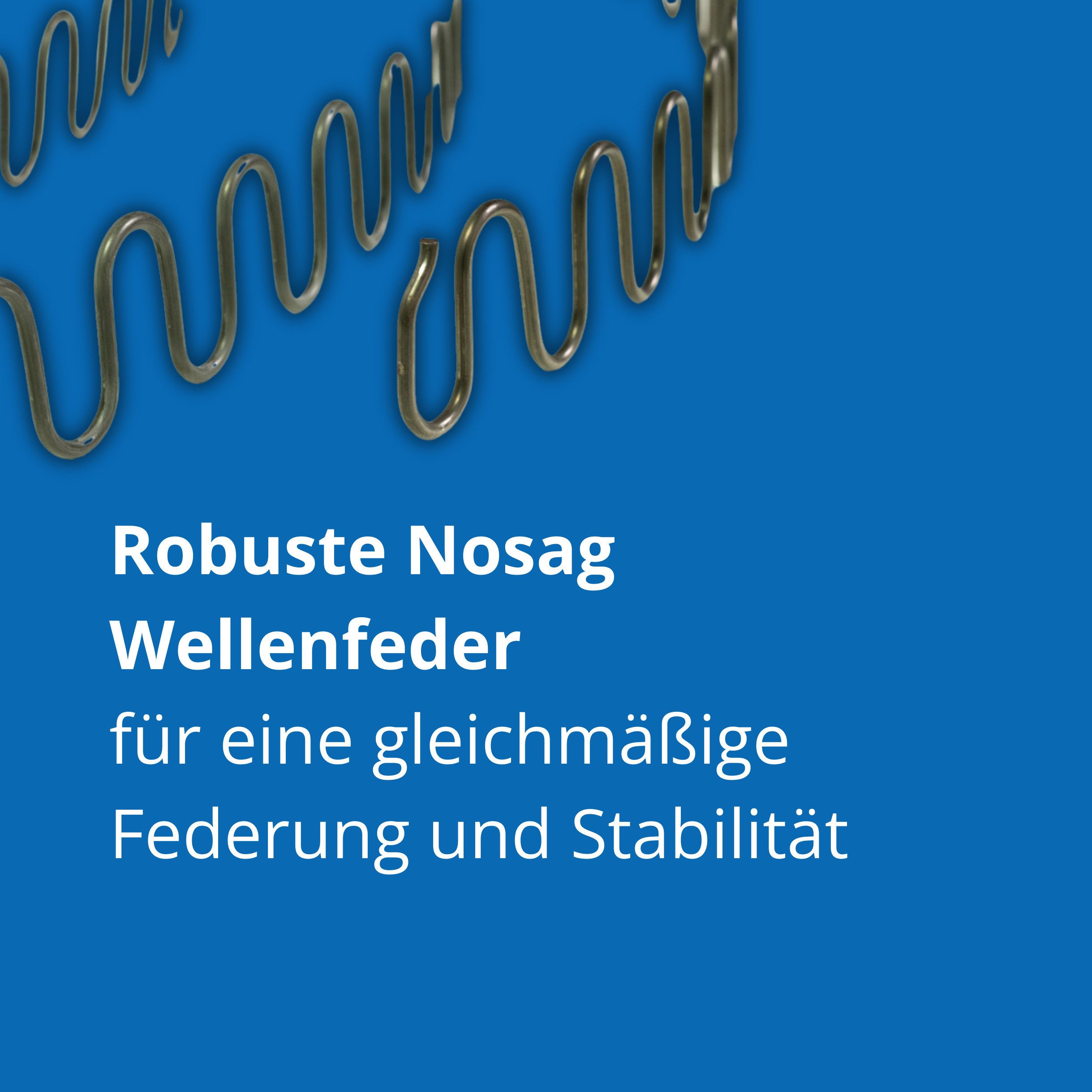 Heiro Nachfüllpack Nosag Wellenfeder 64cm x 4,5cm Stärke 3,8mm – Bild 4 von 4