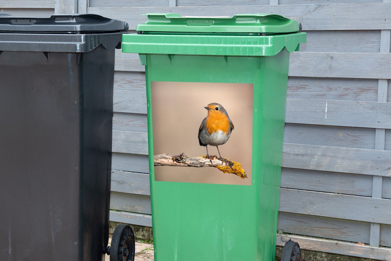 Abfalbehälter Mülleimer-aufkleber, St), Rotkehlchen Zweig Container, Sticker, Vogel (1 Mülltonne, - - - Tiere Wandsticker MuchoWow