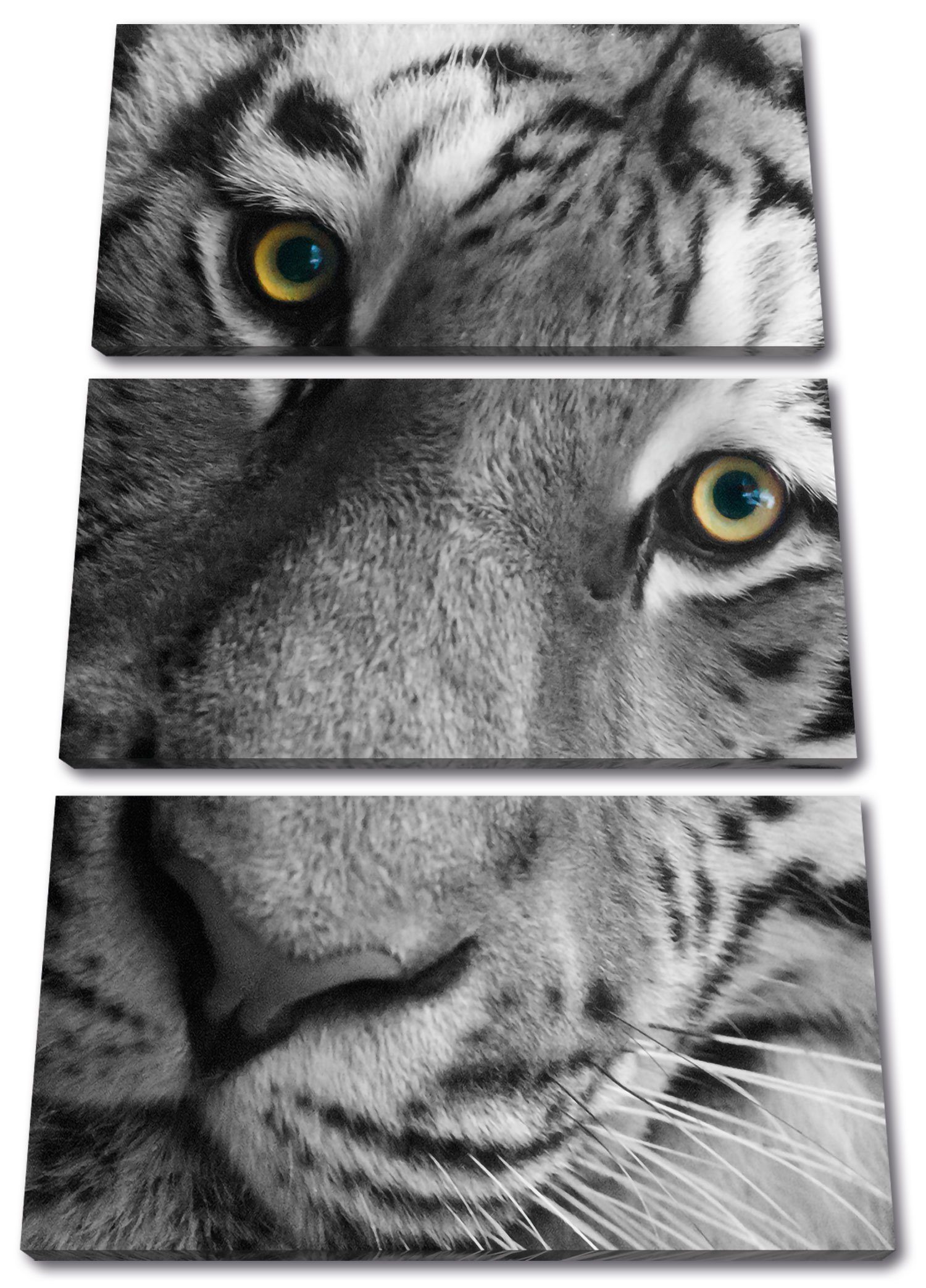 Pixxprint Leinwandbild bildschöner Tiger, bildschöner Tiger 3Teiler (120x80cm) (1 St), Leinwandbild fertig bespannt, inkl. Zackenaufhänger
