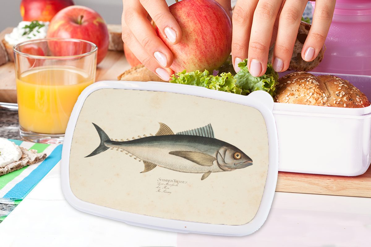Jungs Lunchbox Kunststoff, weiß Brotdose, für Eine eines Fisches, Brotbox Illustration Kinder Mädchen für MuchoWow Erwachsene, und und (2-tlg), alte