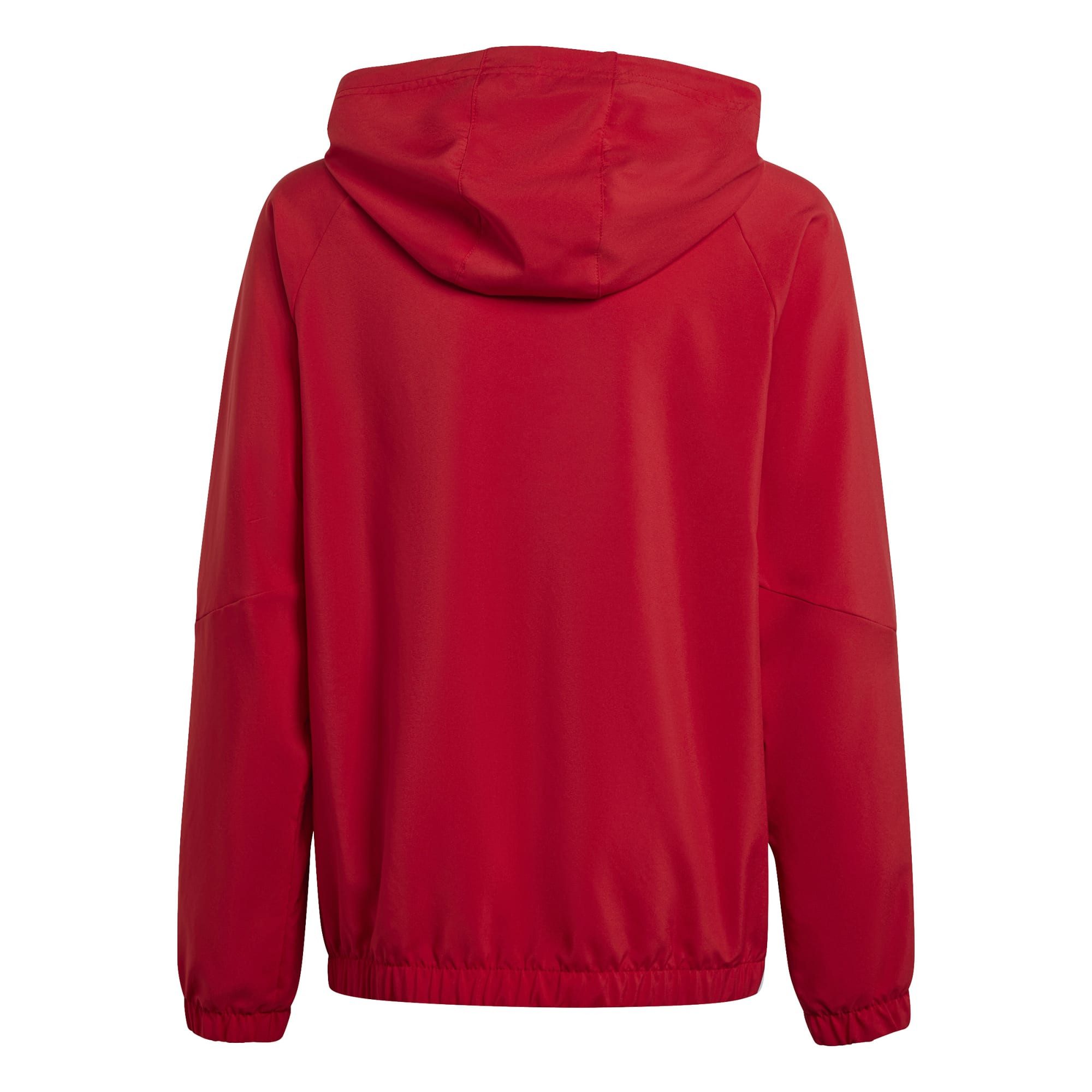 adidas Performance Regenjacke adidas Kinder Windbreaker Tiro 24 WB Y