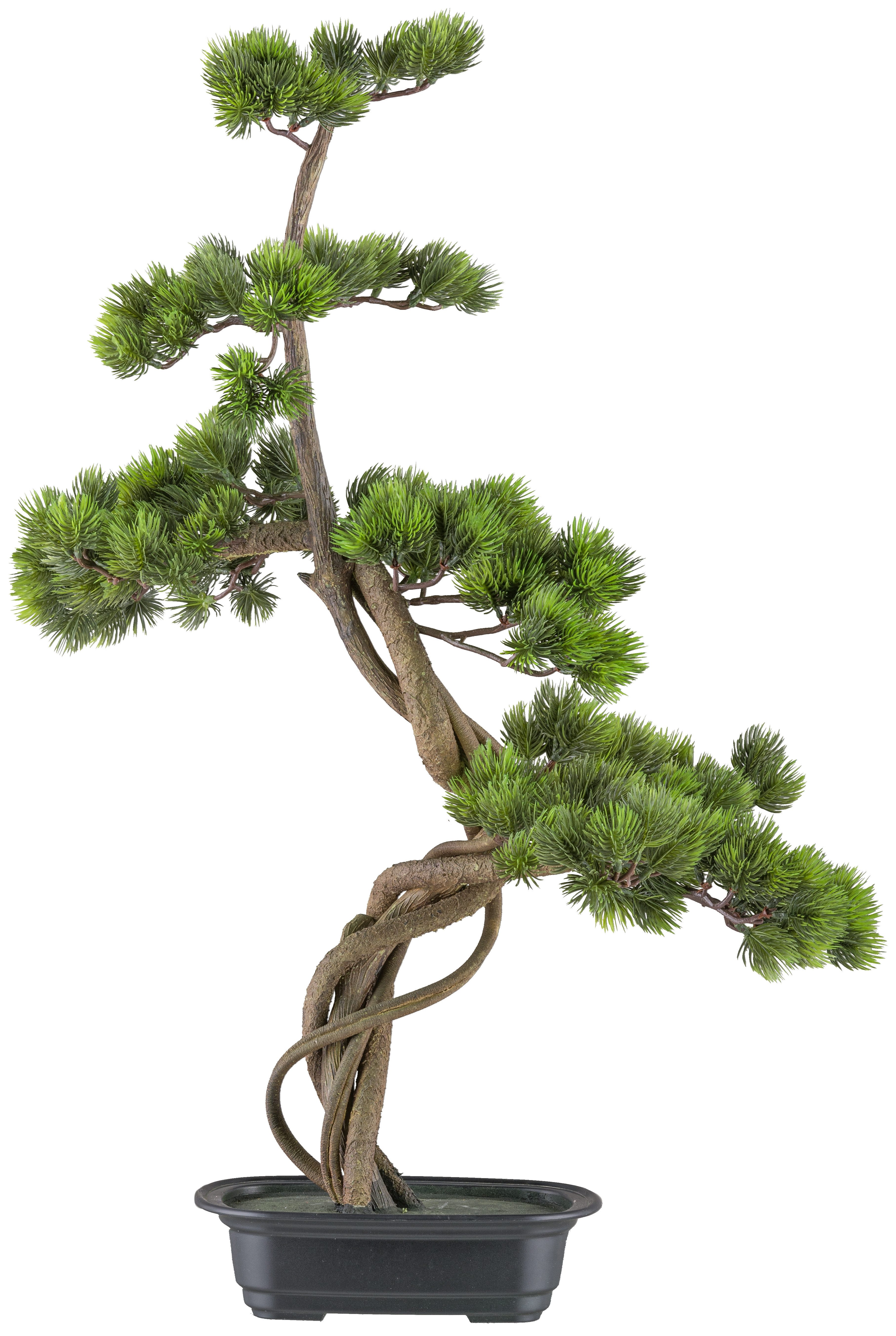 Kunstbonsai Bonsai Kiefer, Creativ green, Höhe 70 cm, mit elegantem Stamm günstig online kaufen