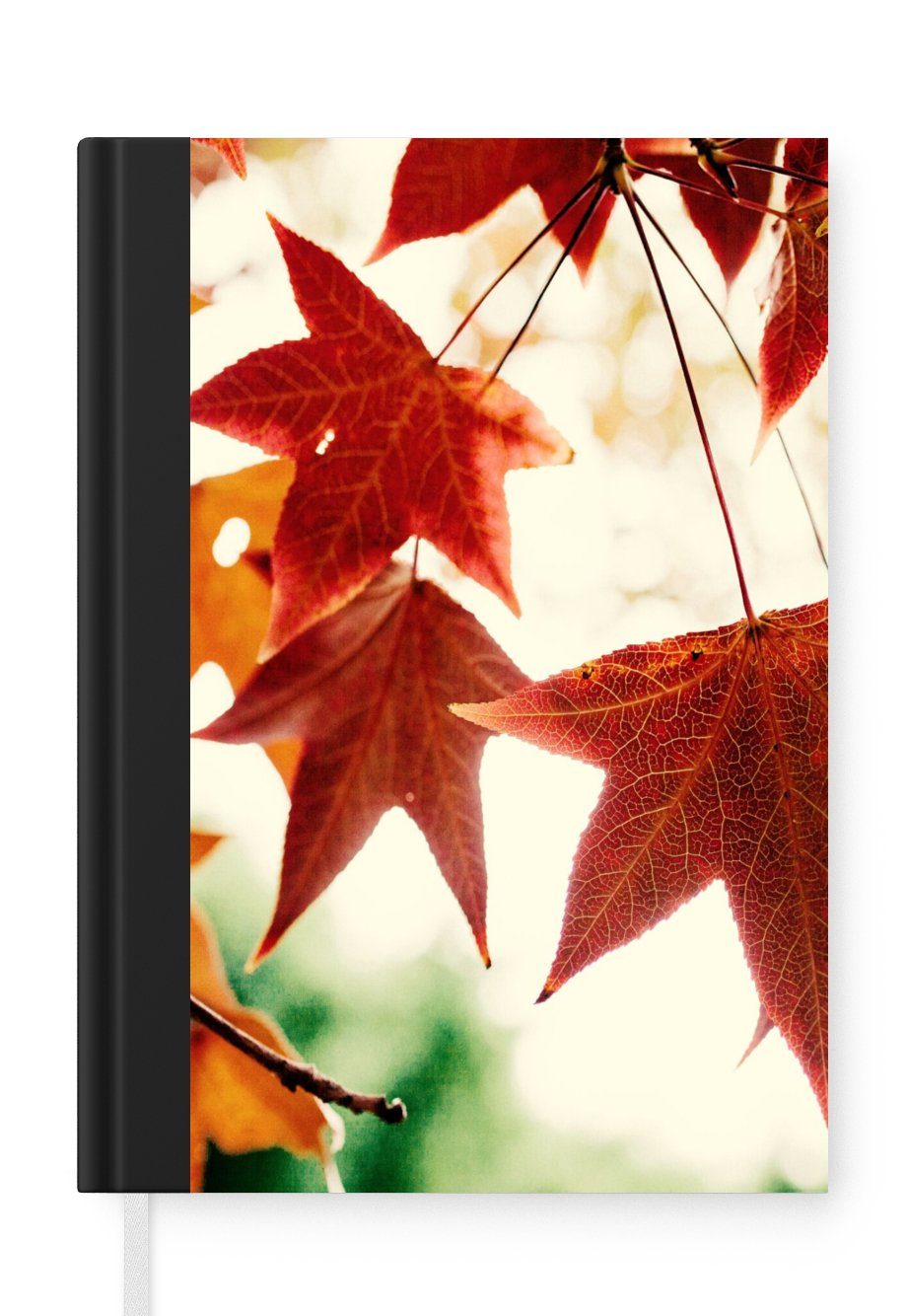Natur - MuchoWow November Merkzettel, Bäume, - A5, 98 Journal, Notizheft, Haushaltsbuch - Tagebuch, Seiten, Herbstblätter Notizbuch