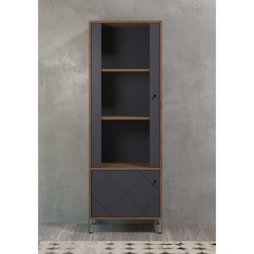 trendteam Vitrine Touch Vitrinenschrank Highboard Schrank Standvitrine Braun/Grau 63x172x40cm