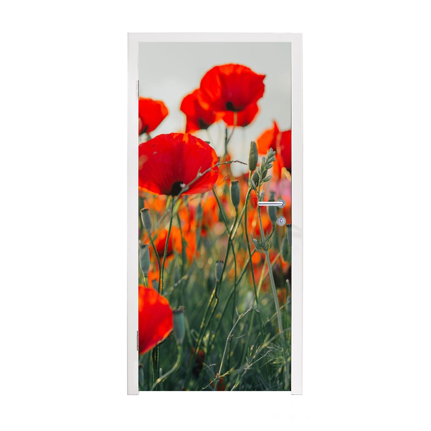 MuchoWow Türtapete Mohn - Blumen - Rot - Lila - Wiese, Matt, bedruckt, (1 St), Fototapete für Tür, Türaufkleber, 75x205 cm