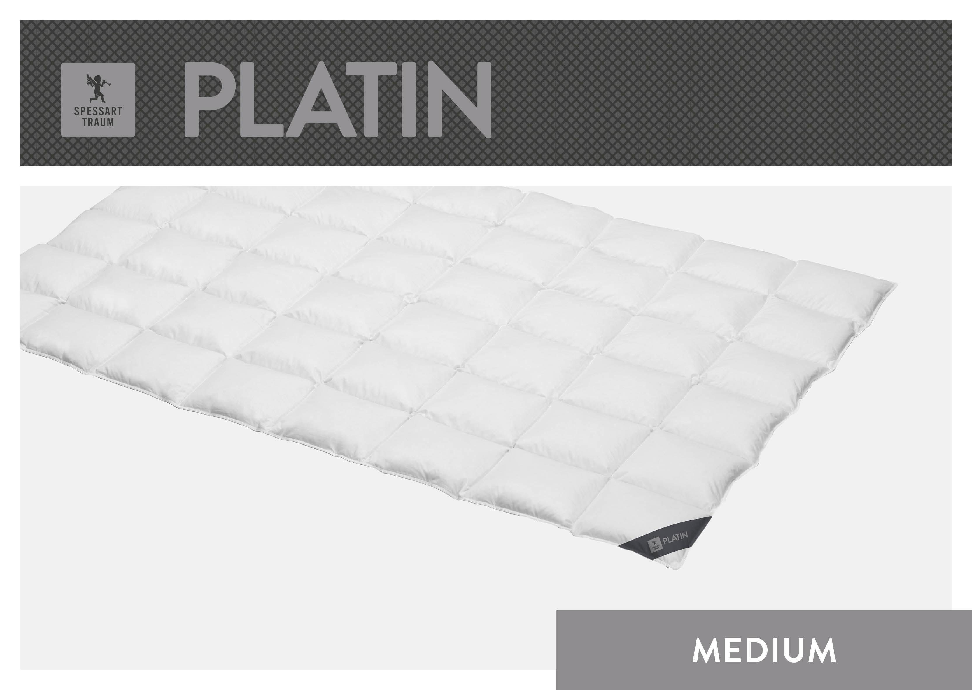 SPESSARTTRAUM Gänsedaunenbettdecke »Platin«, extrawarm, Füllung 100% Reine günstig online kaufen