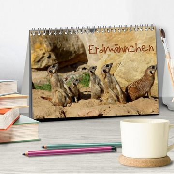 CALVENDO Wandkalender Erdmännchen (Tischkalender 2024 DIN A5 quer), CALVENDO Monatskalender