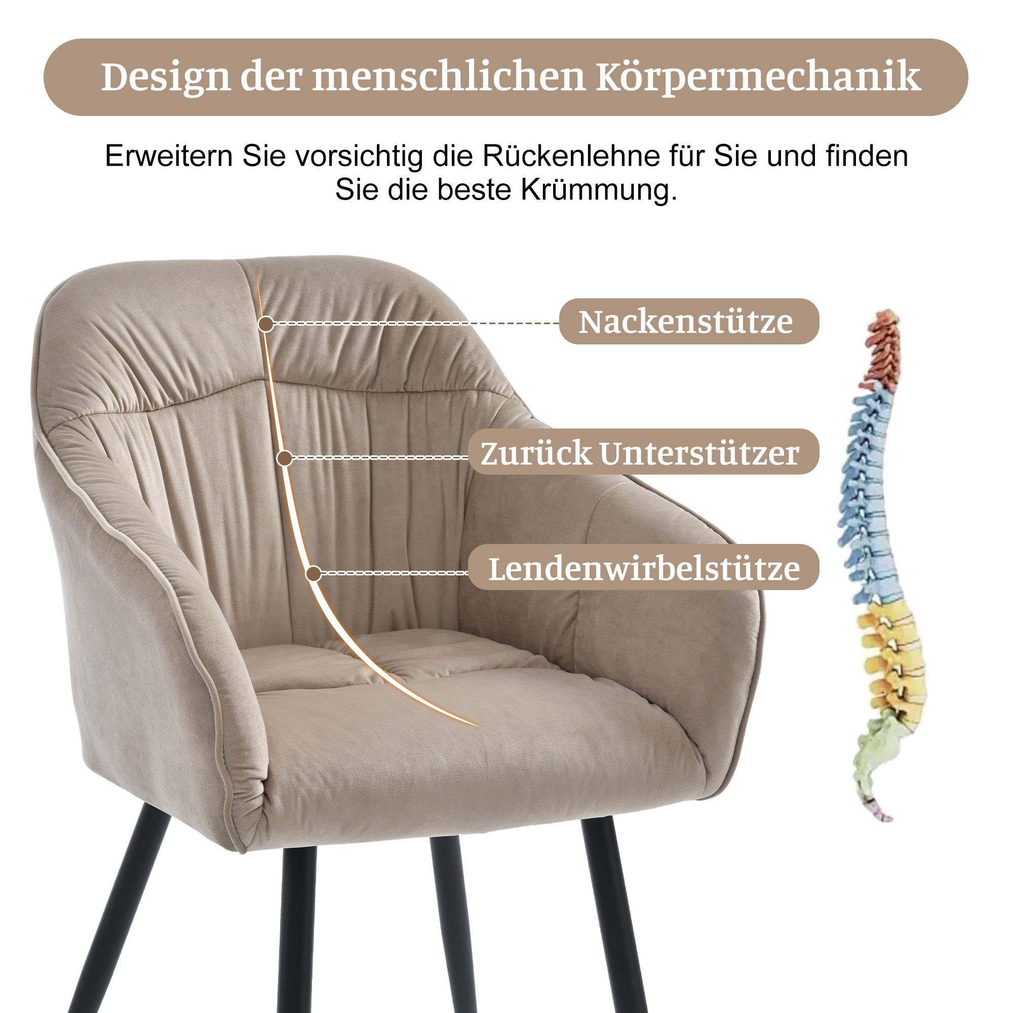 HAUSS SPOLE Esszimmerstuhl 4 St mit günstig online kaufen