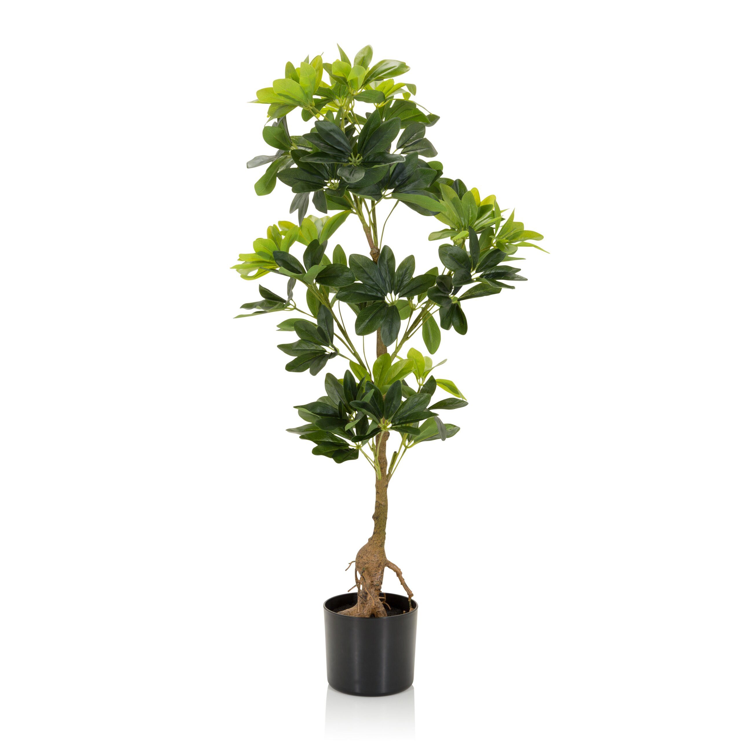 Kunstpflanze SCHEFFLERA Künstliche Pflanze Höhe 100.0 cm Strahlenaralie, hjh OFFICE, Höhe 100.0 cm, Künstliche Pflanze Aralie Kunstbaum im Kunststoff-Topf, Zimmerpflanze. € 64,90