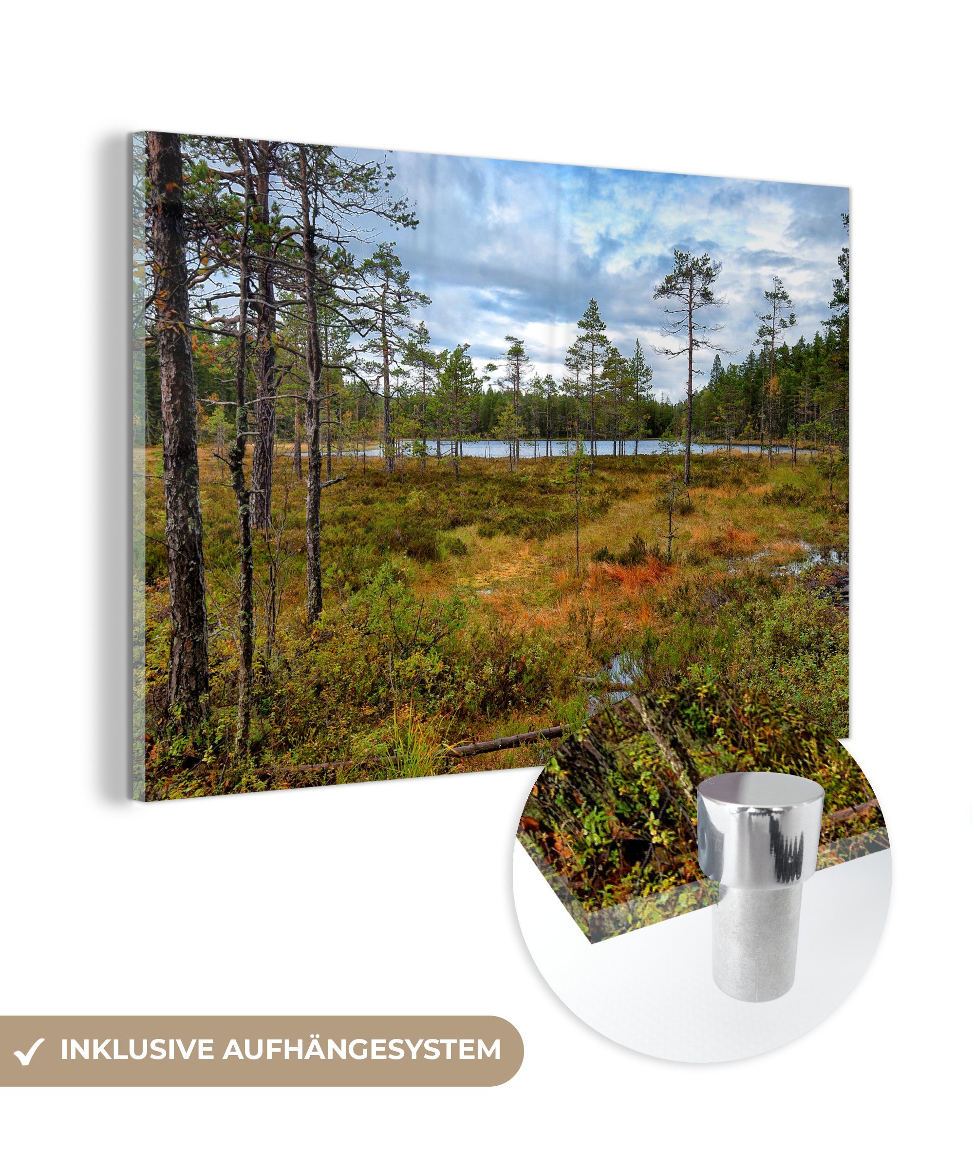 MuchoWow Acrylglasbild Herbstlich gefärbte Wälder im Skuleskogen-Nationalpark in Schweden, (1 St), Acrylglasbilder Wohnzimmer & Schlafzimmer