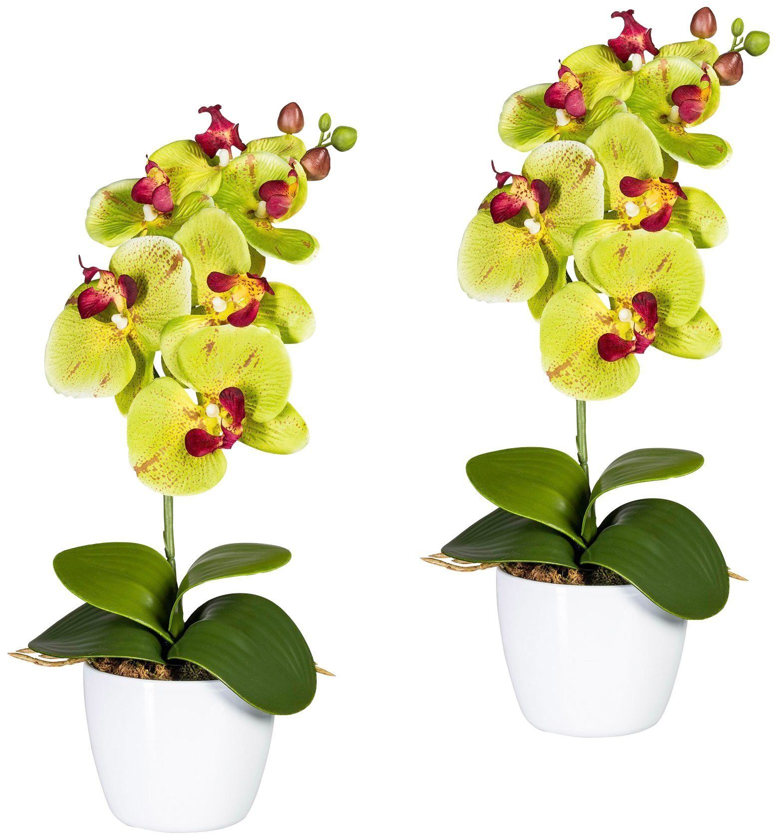 Kunstpflanze hochwertigem Höhe Blüten Topf Keramiktopf, & green, Kombination 40 Creativ aus im Orchidee Orchidee, Phalaenopsis cm, farbenfrohen