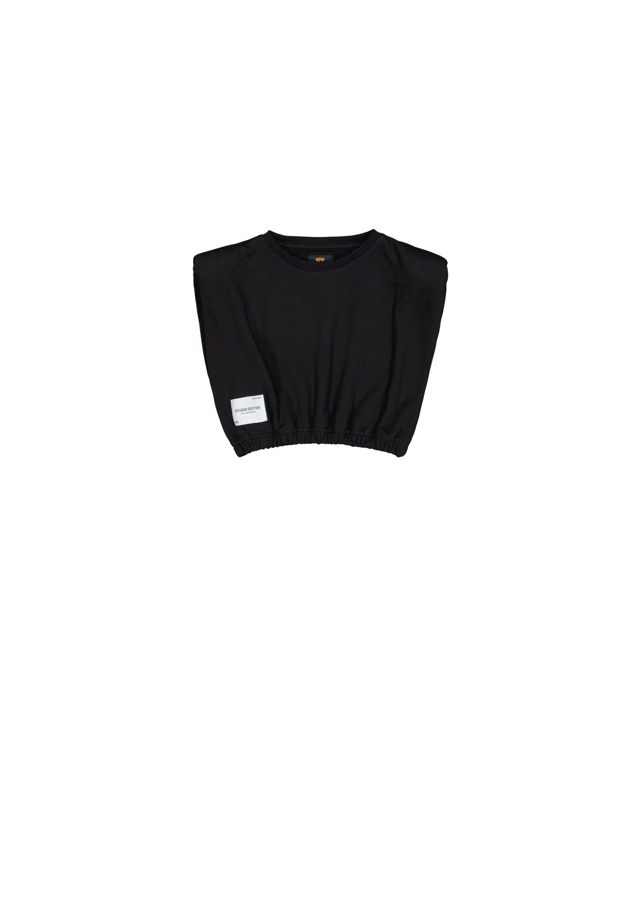 Alpha Industries Sweater Studio Edition Sweatshirt Cropped W