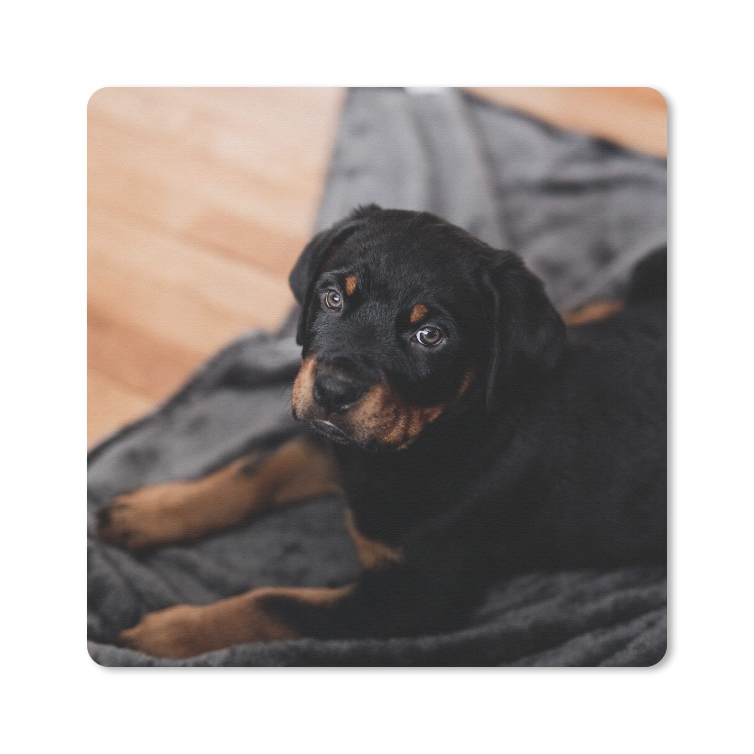 MuchoWow Mauspad Ein Rottweiler-Welpe auf einem schwarzen Teppich (1-St), Mousepad, Schreibtisch Zubehör, Deko, 20x20 cm