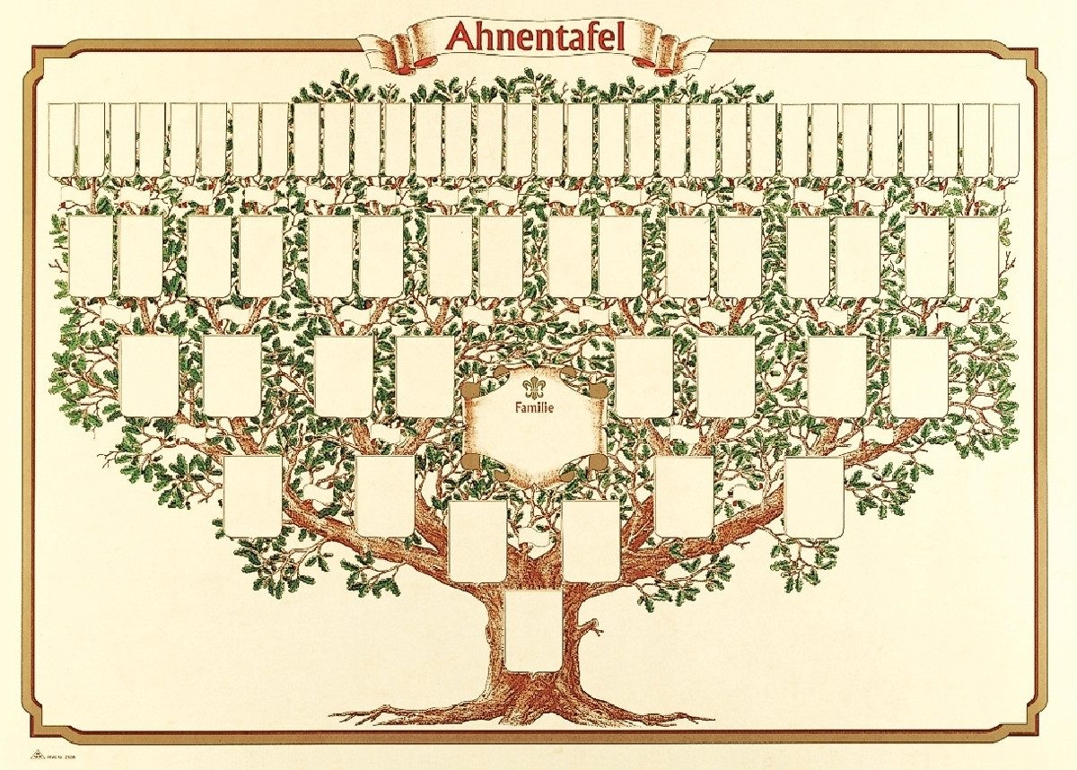 RNK Verlag Formularblock Schmuck-Ahnentafel 1-63 für 6 Generationen Baumform 70x50cm