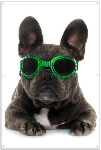 Wallario Sichtschutzzaunmatten Cooler Hund mit Sonnenbrille in grün - Französische Bulldogge