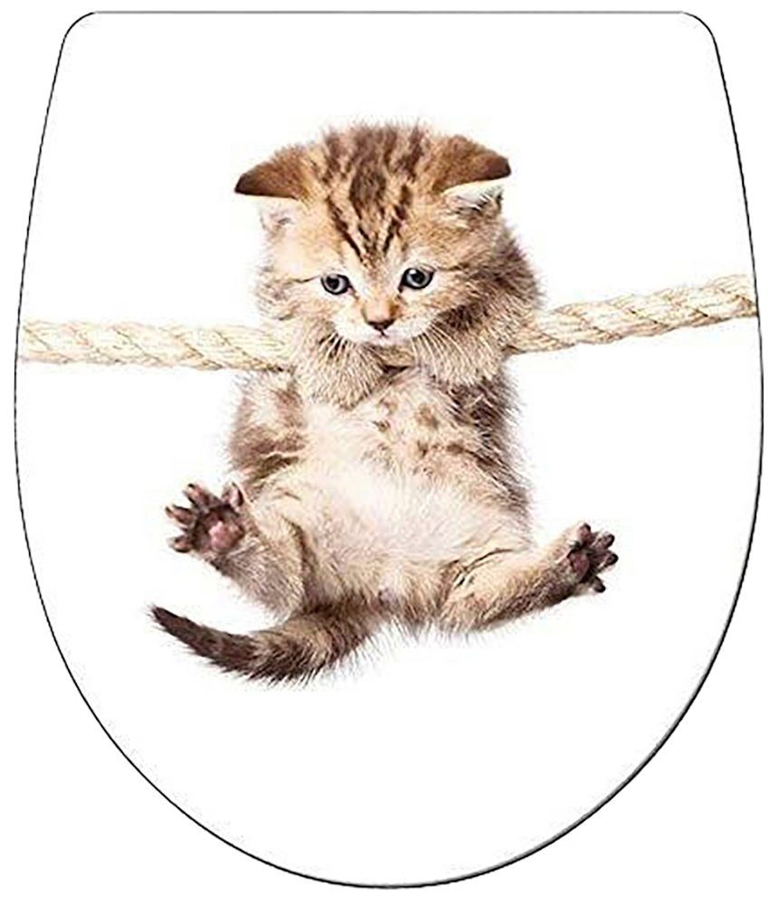 ADOB WC-Sitz Cat, Absenkautomatik, zur Reinigung auf Knopfdruck abnehmbar günstig online kaufen