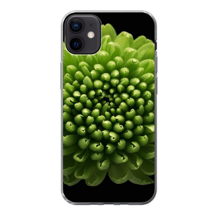 MuchoWow Handyhülle Eine grüne Chrysanthemenblüte auf schwarzem Hintergrund Handyhülle Apple iPhone 12 Mini Smartphone-Bumper Print Handy