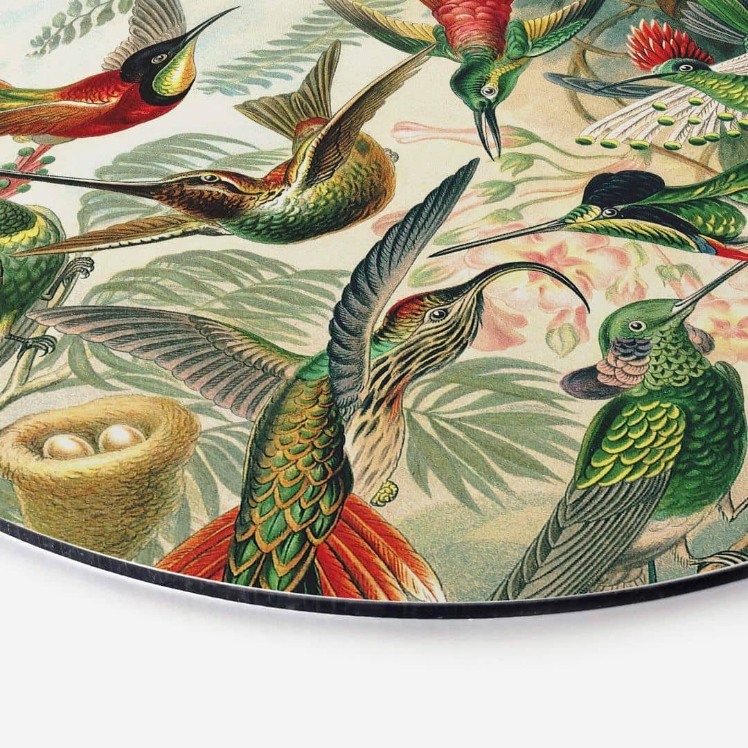 K&L Wall Art Gemälde »Metallbild Rund Metall Wandbild Tropische Fantasie  Vögel Paradies Kolibris Haeckel« online kaufen | OTTO