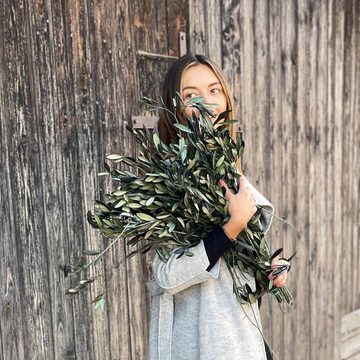 Trockenblume konservierte Olivenzweige in zwei Größen - natürliche Deko aus Italien, LYKKE & You