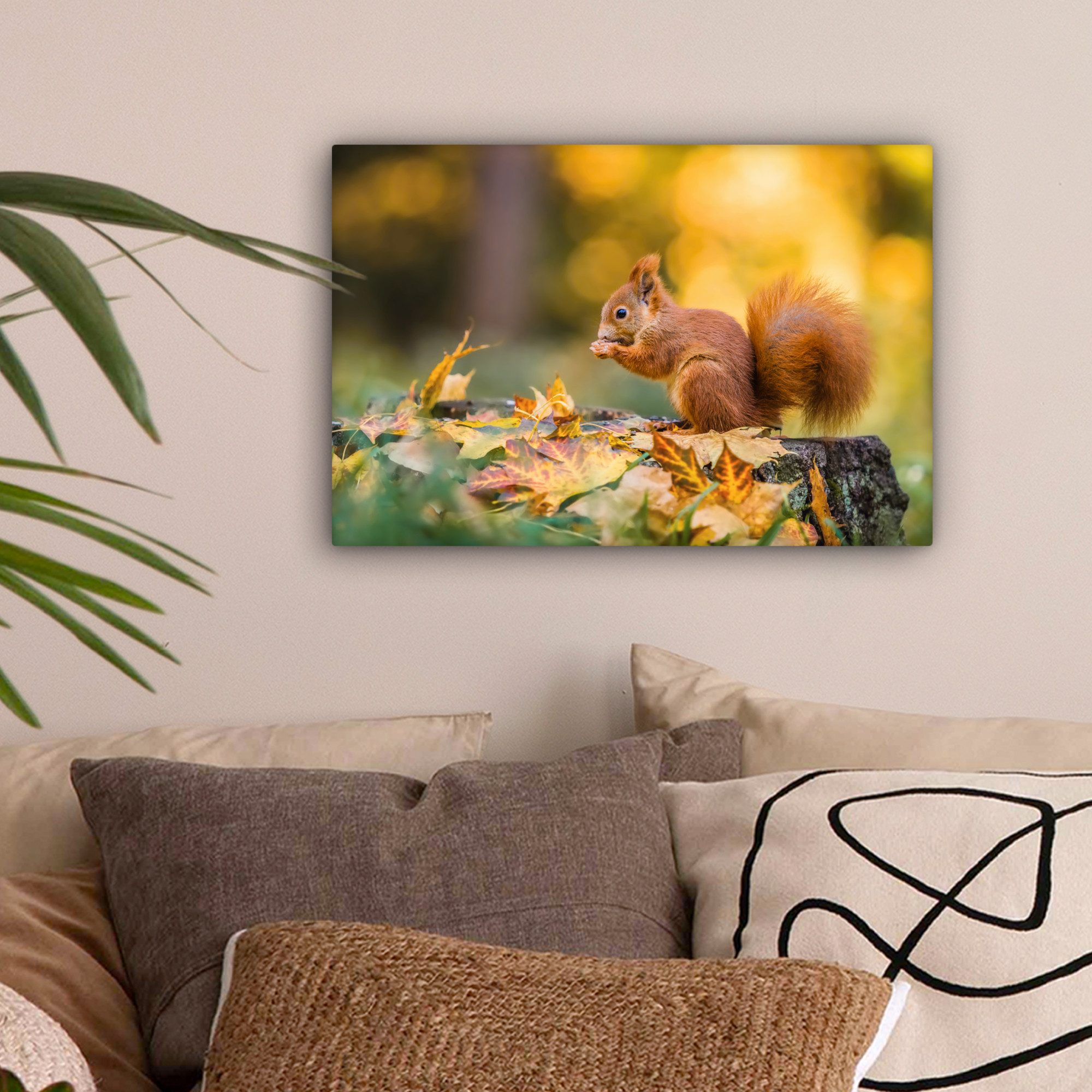 OneMillionCanvasses® Leinwandbild Eichhörnchen - Herbst - günstig online kaufen