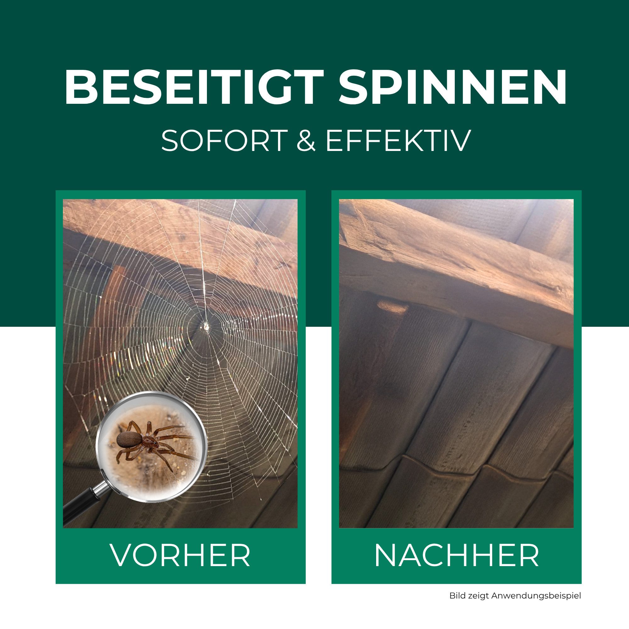 Silberkraft Insektenspray Spinnenspray 500 ml inkl. Gratis E-Book Gebrauchsfertiges Spray, Gezielt auf Ecken, Ritzen, Spalten oder hinter Möbeln sprühen, 1-St., – Bild 2 von 5