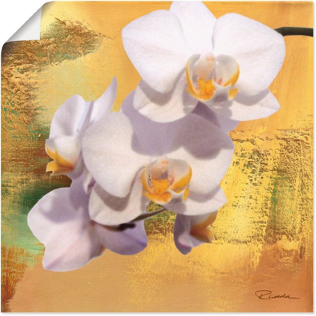 Artland Wandbild »Weiße Orchidee II«, Blumen (1 Stück), in vielen Größen & Produktarten - Alubild / Outdoorbild für den Außenbereich, Leinwandbild, Poster, Wandaufkleber / Wandtattoo auch für Badezimmer geeignet-Otto