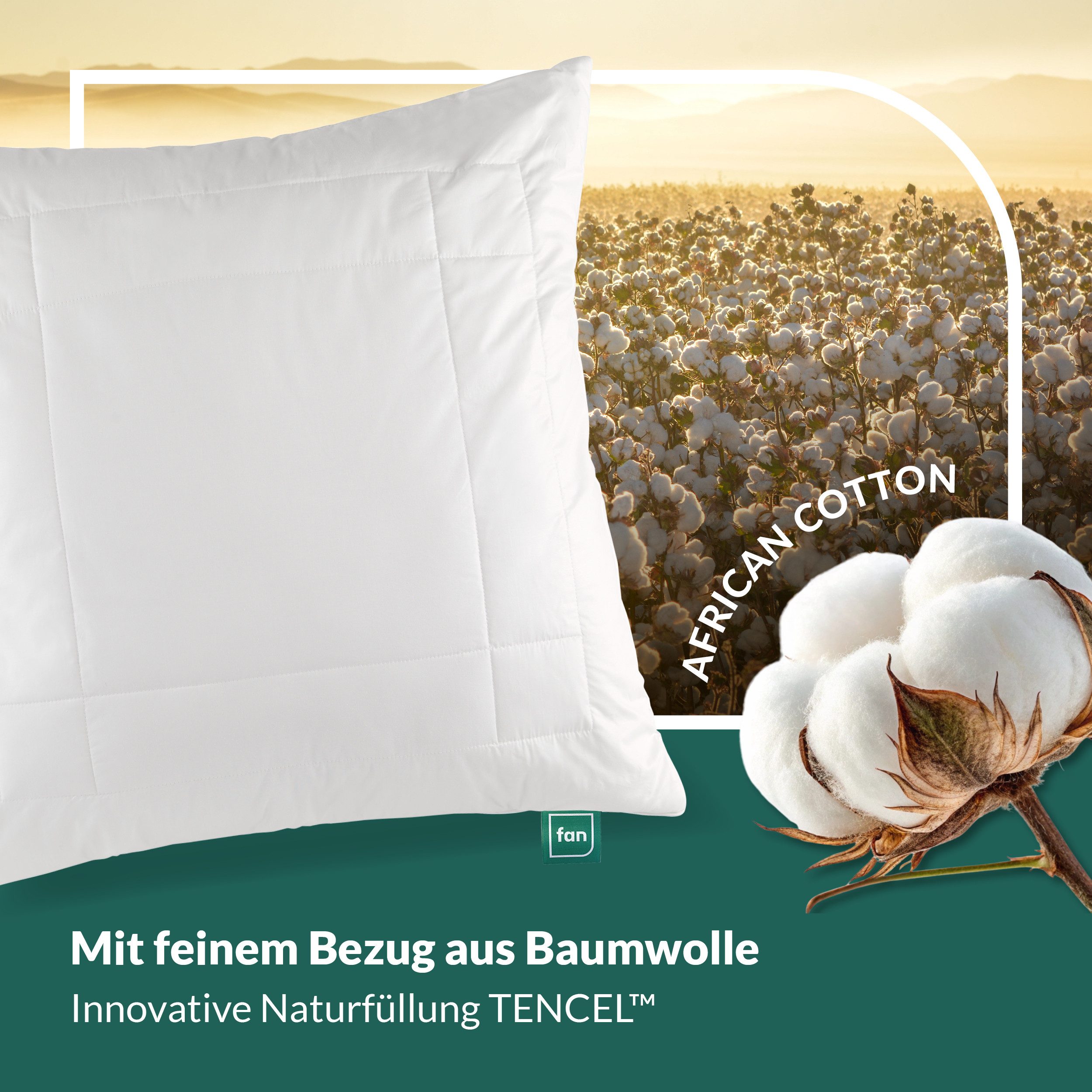 fan Kopfkissen African Cotton, 40x80 & 80x80 cm, Füllung: 60% Polyester / 40% Lyocell (Tencel), Bezug: 100% Bio Baumwolle, Kopfkissen mit hochwertigem Baumwollb – Bild 4 von 5
