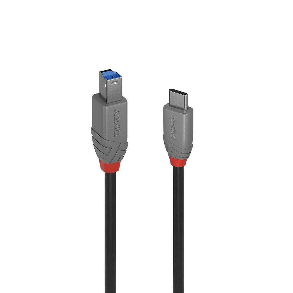 Lindy USB Электропровод 0.5 m USB 3.2 Gen 1 (3.1 Gen 1) USB-C® USB B 36665 USB-Kabel