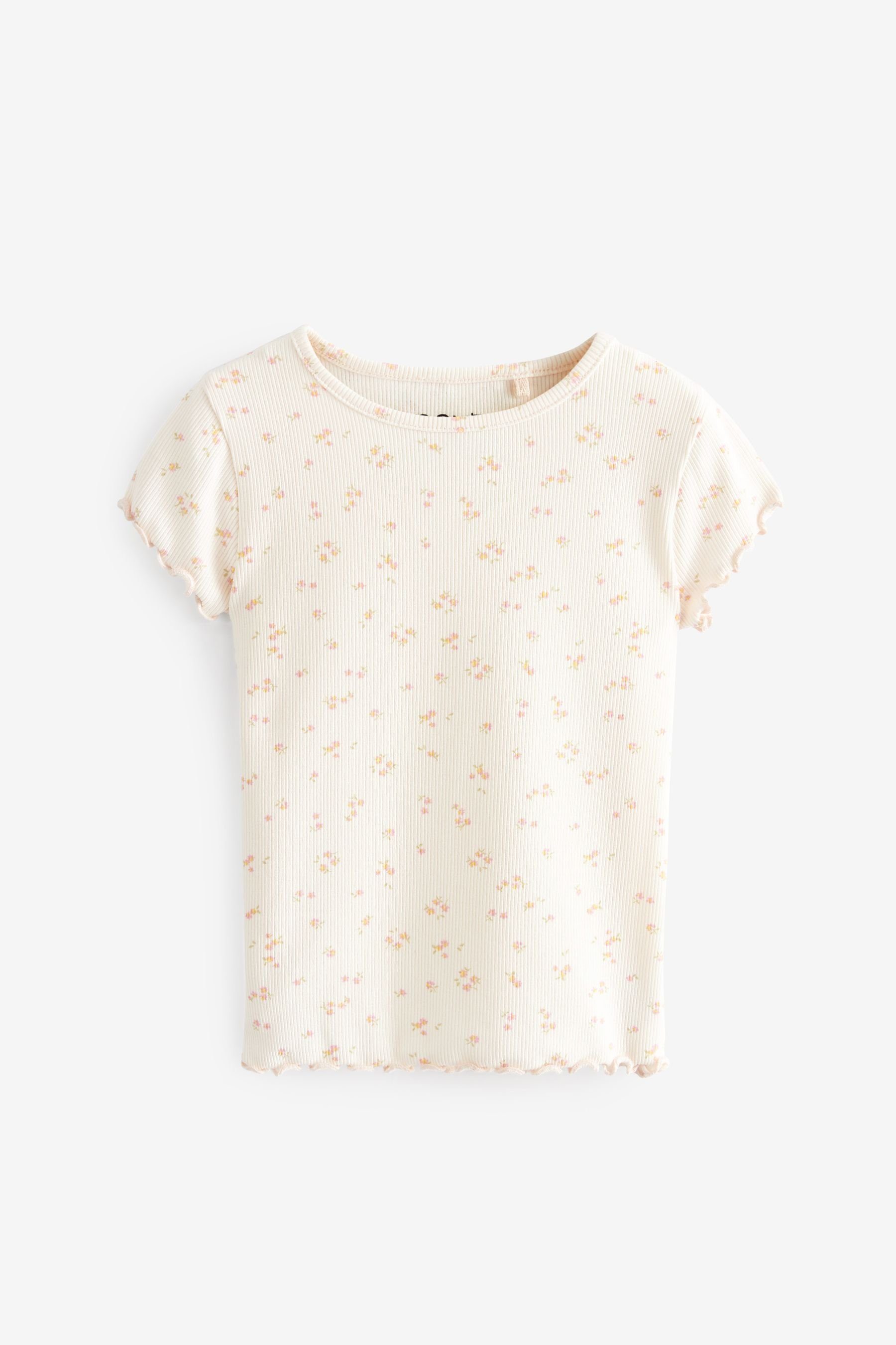 Next T-Shirt Geripptes Kurzarm-T-Shirt (1-tlg) Ecru Cream Ditsy Floral