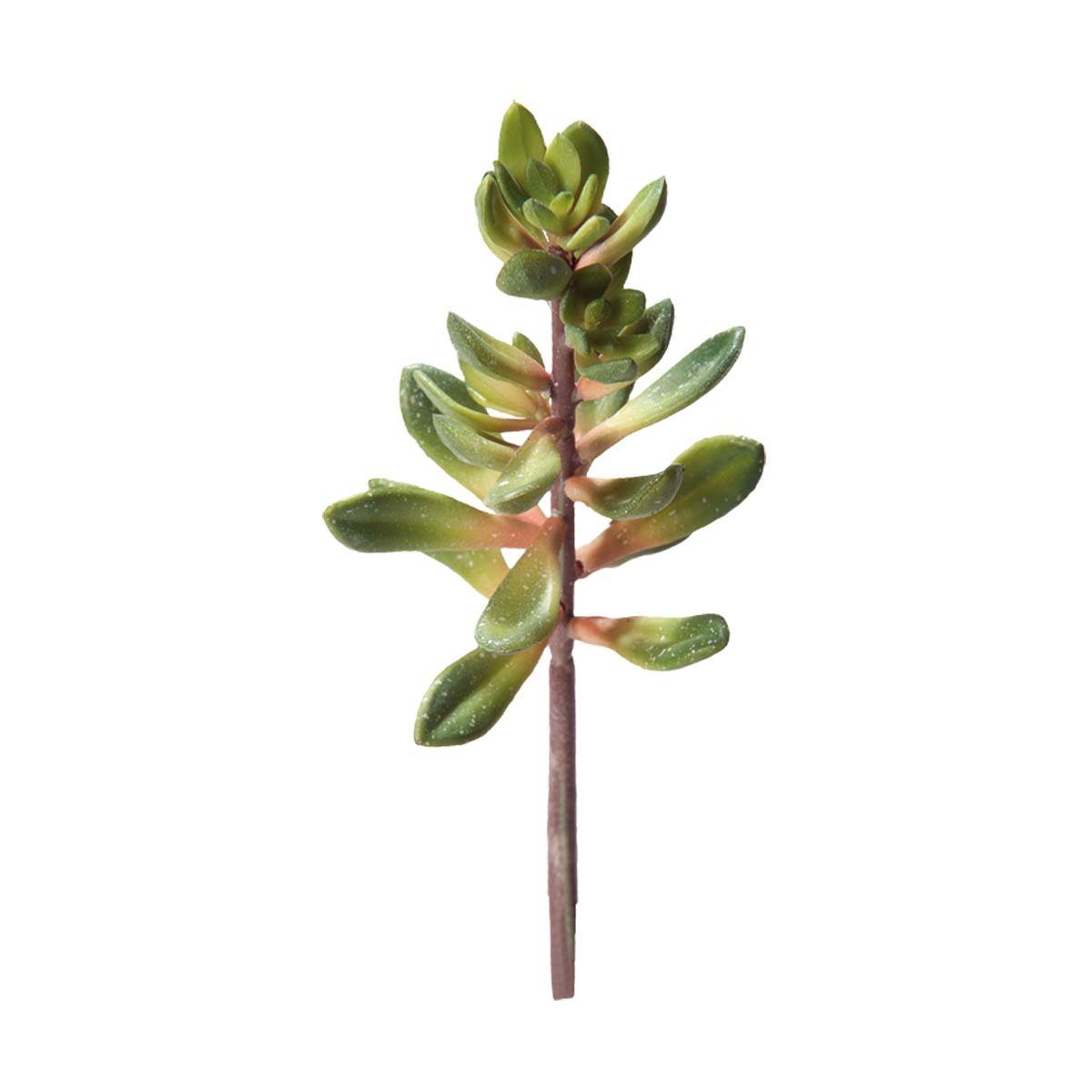 HOBBY Террариумыdeko Kalanchoe, Höhe 20 cm