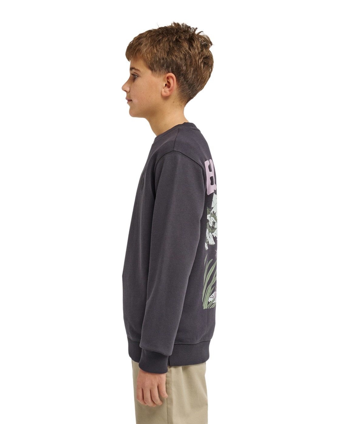 Element Sweatshirt Lakeside