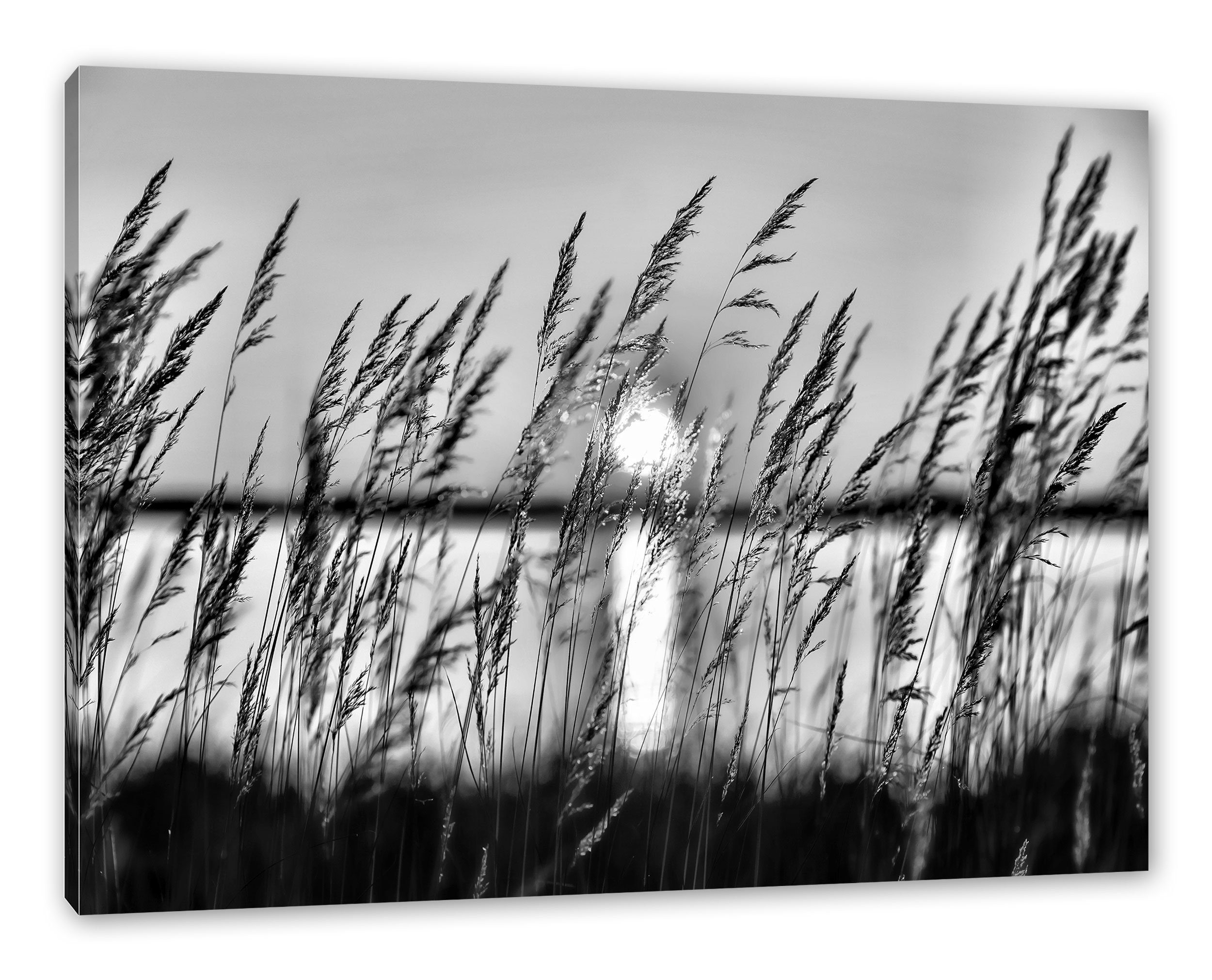 Pixxprint Leinwandbild Sonne bespannt, zwischen Gräsern, St), Leinwandbild inkl. zwischen Gräsern Zackenaufhänger fertig Sonne (1